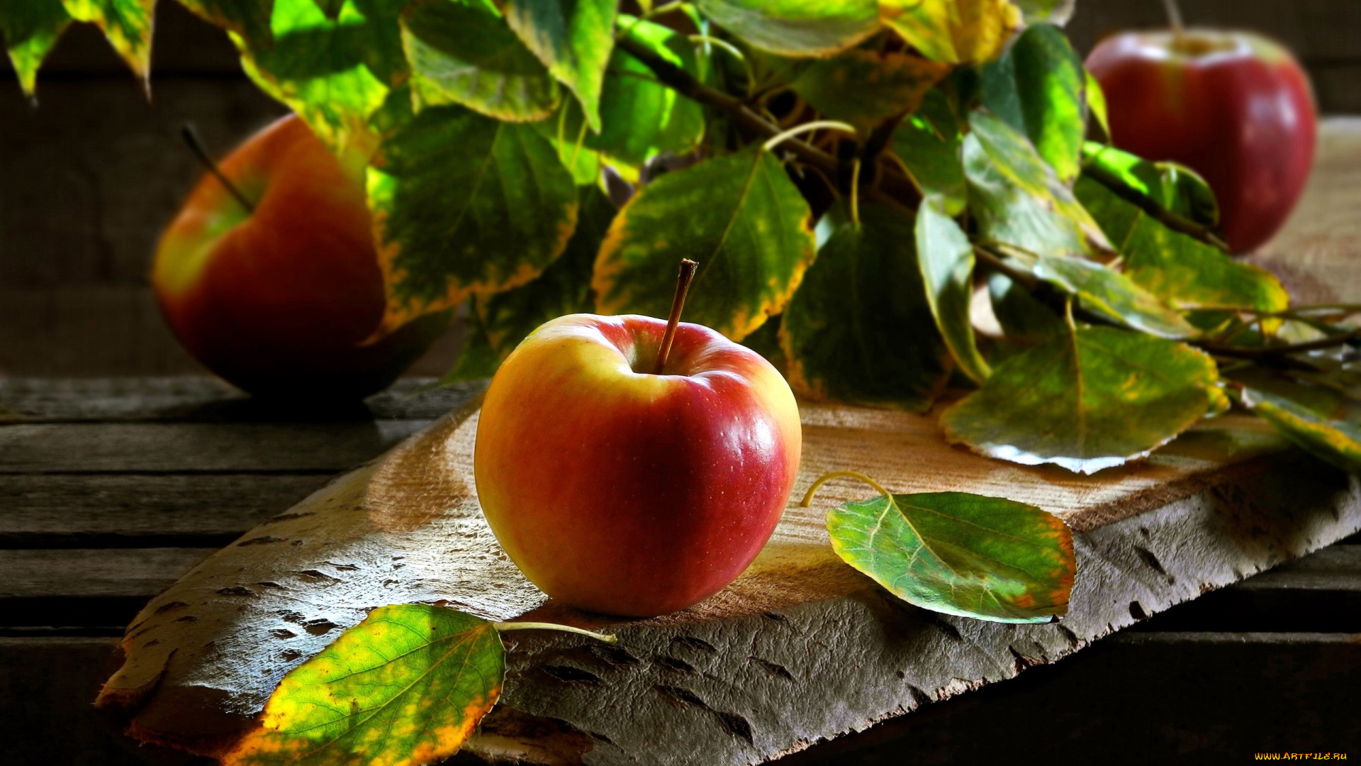 еда, яблоки, краснобокие, листья