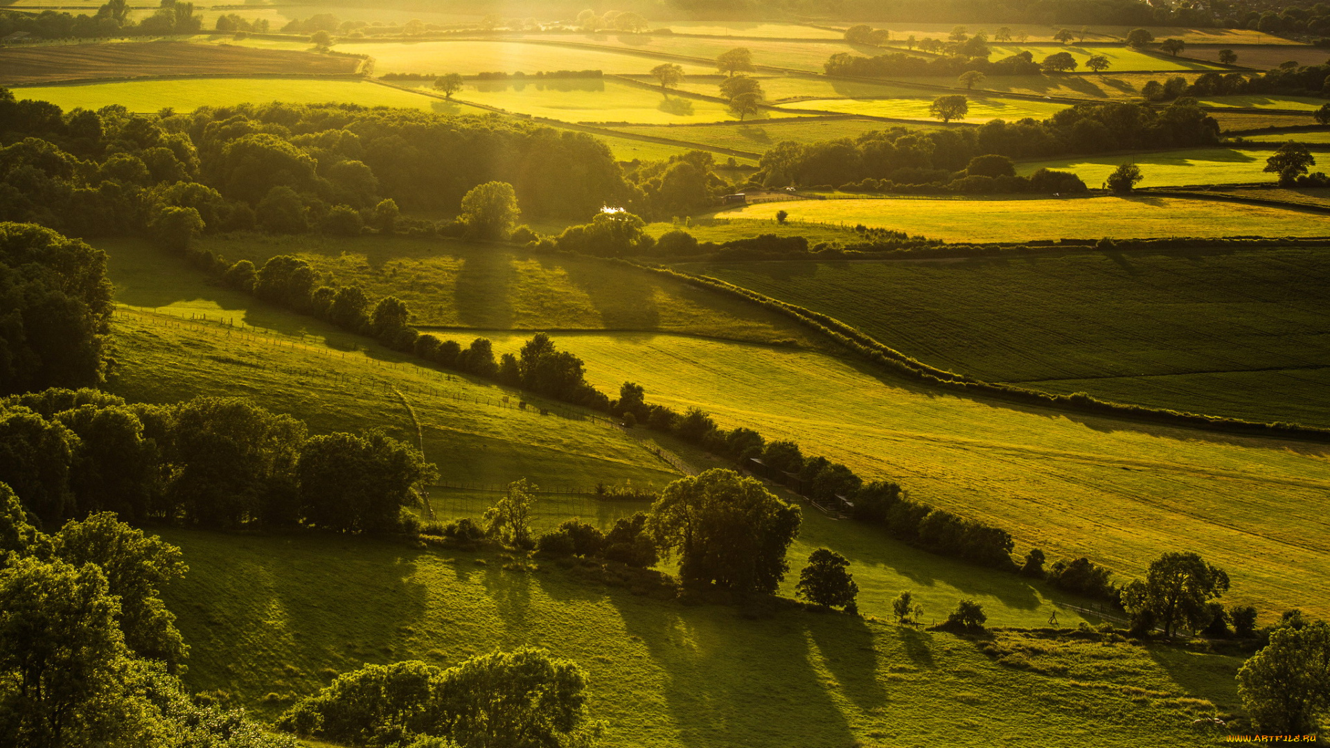 hassocks, , england, , great, britain, природа, поля, рощи, зелень