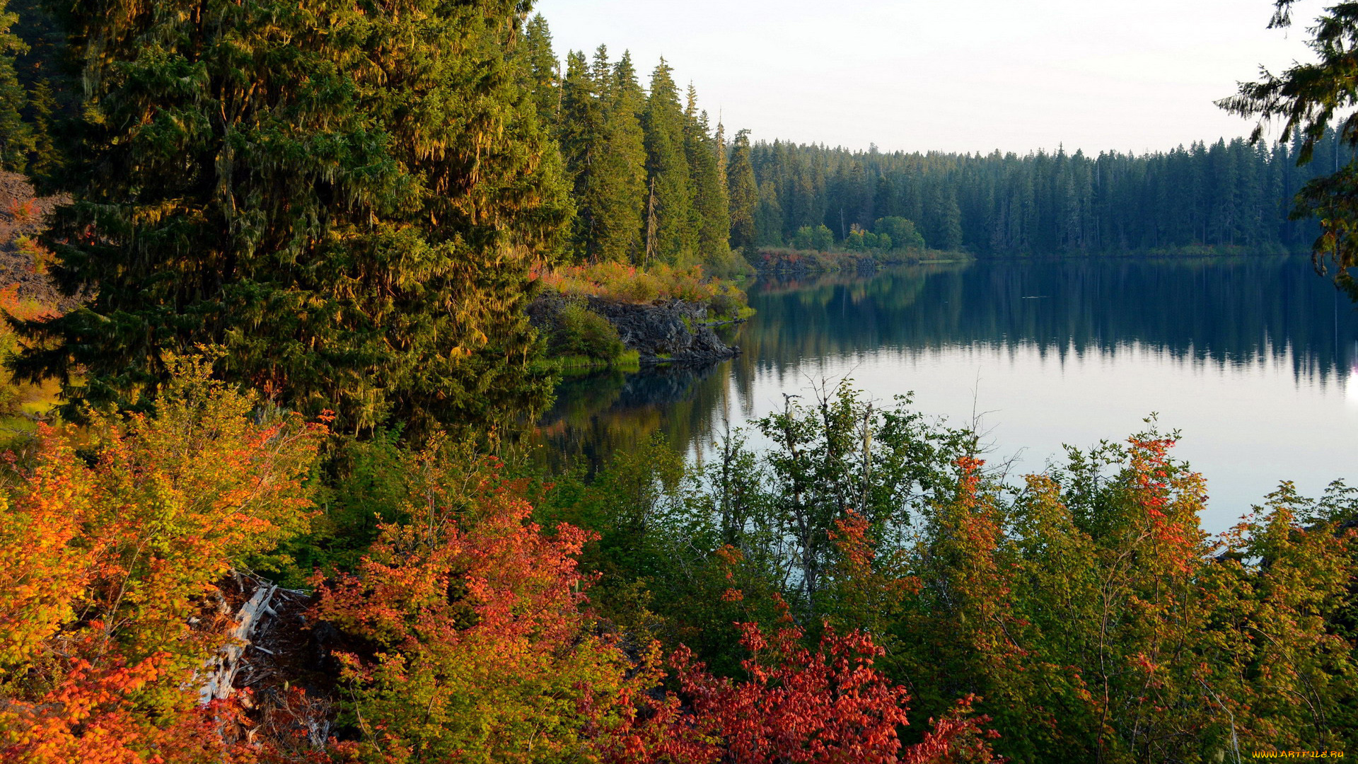 природа, реки, озера, осень, озеро