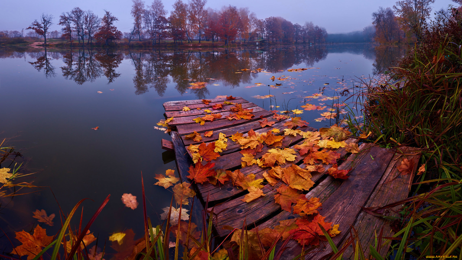 природа, реки, озера, осень, река