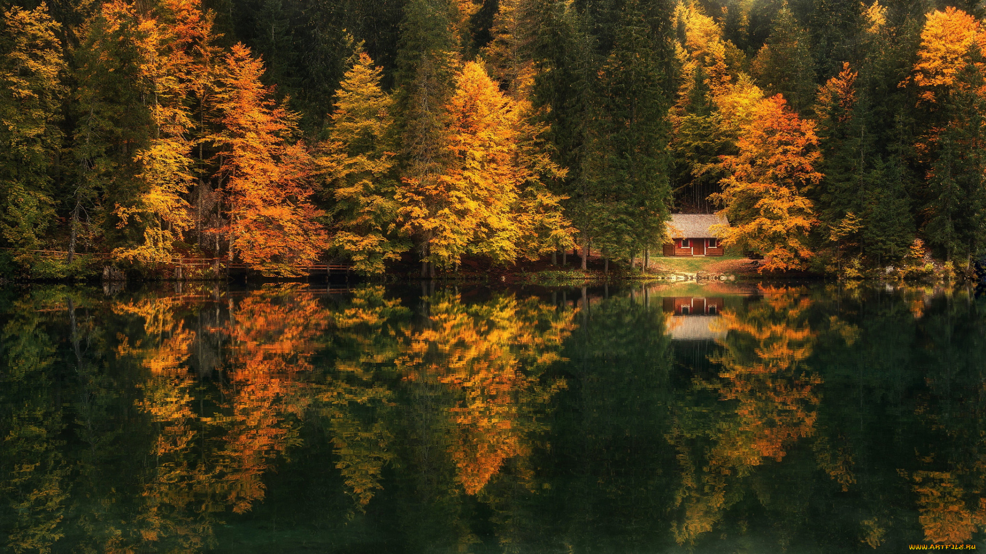 природа, реки, озера, осень, река