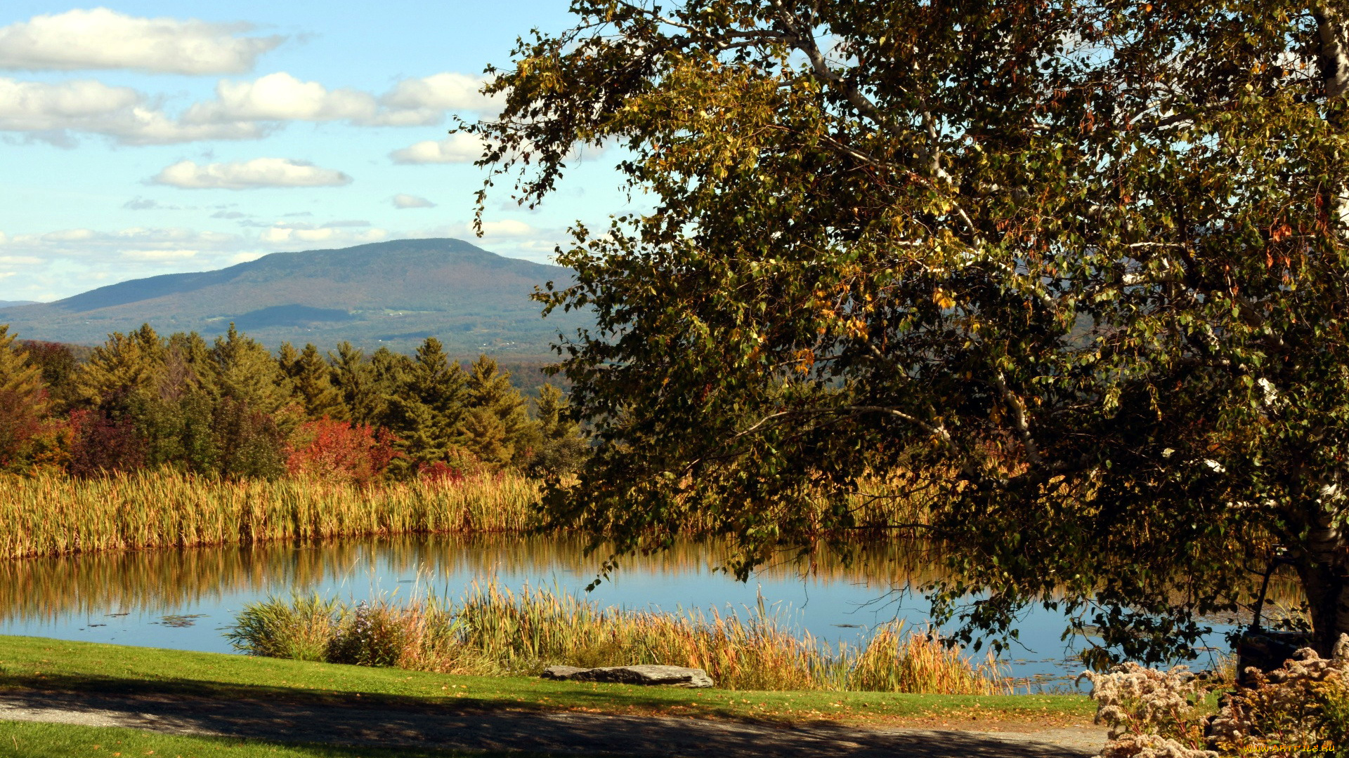 природа, реки, озера, пруд