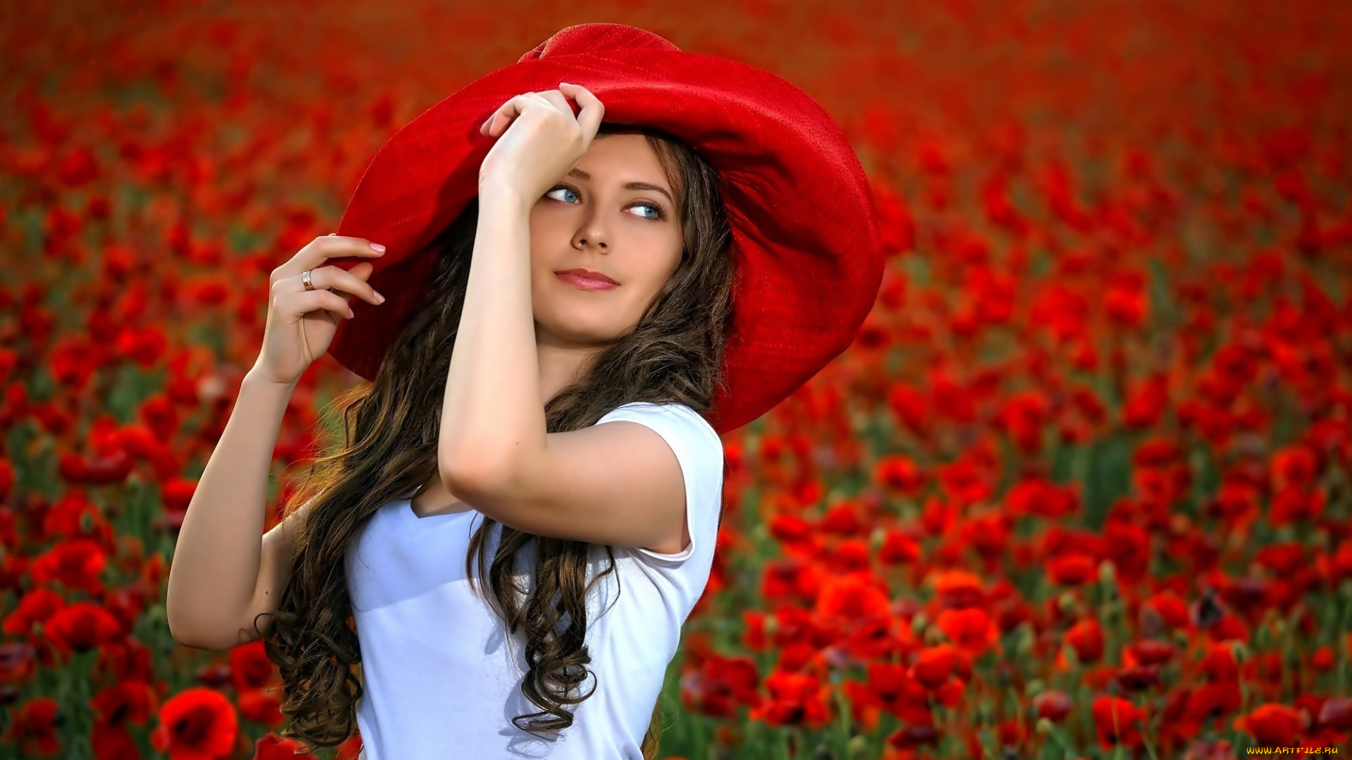 девушки, -, брюнетки, , шатенки, маки, алые, луг, шляпка, лето