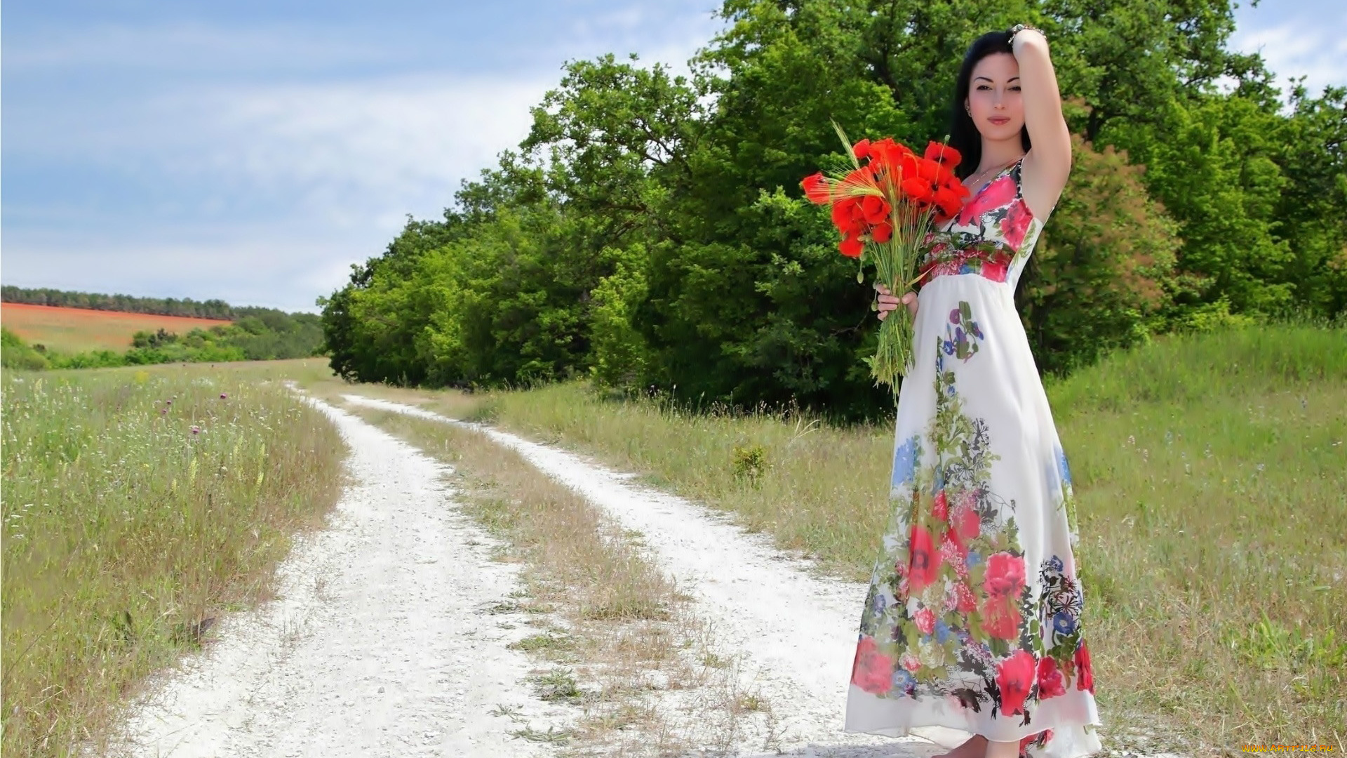 девушки, -, брюнетки, , шатенки, маки, алые, поле, брюнетка, букет