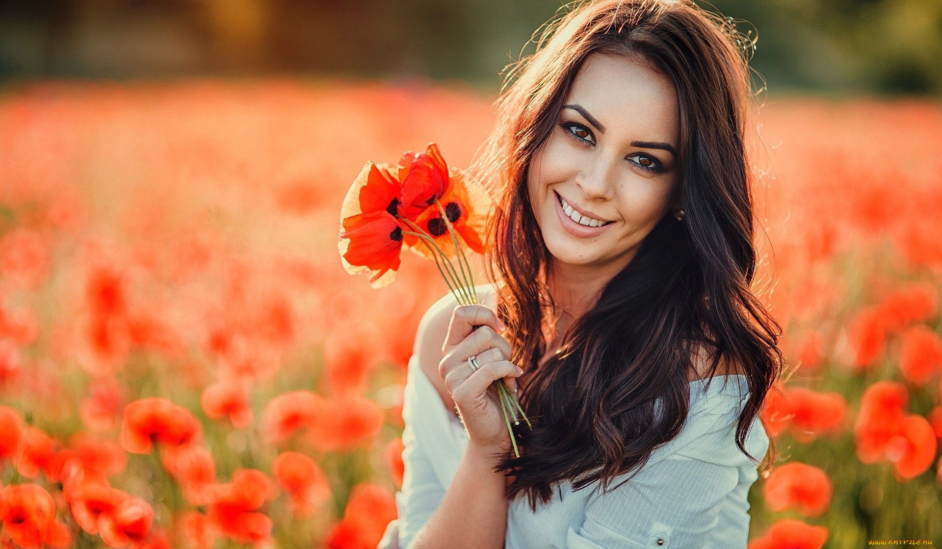 девушки, -, брюнетки, , шатенки, маки, алые, луг, улыбка