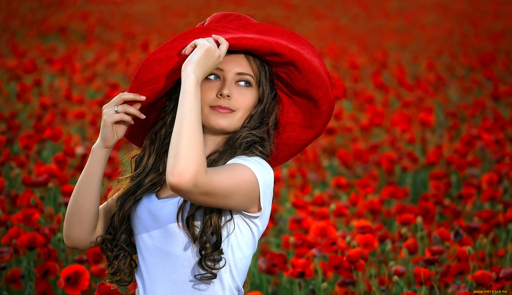 девушки, -, брюнетки, , шатенки, маки, алые, луг, шляпка, лето