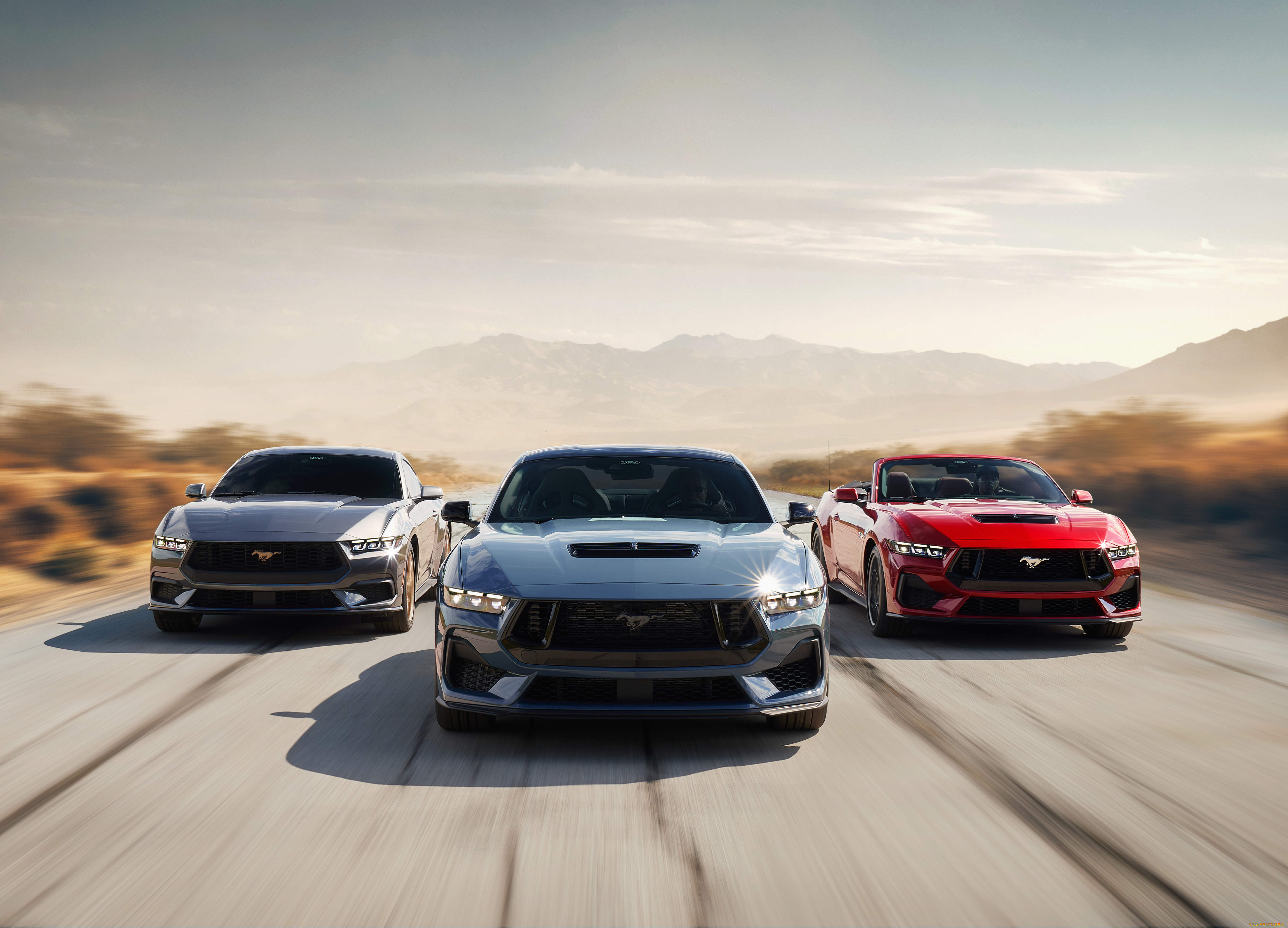 автомобили, mustang