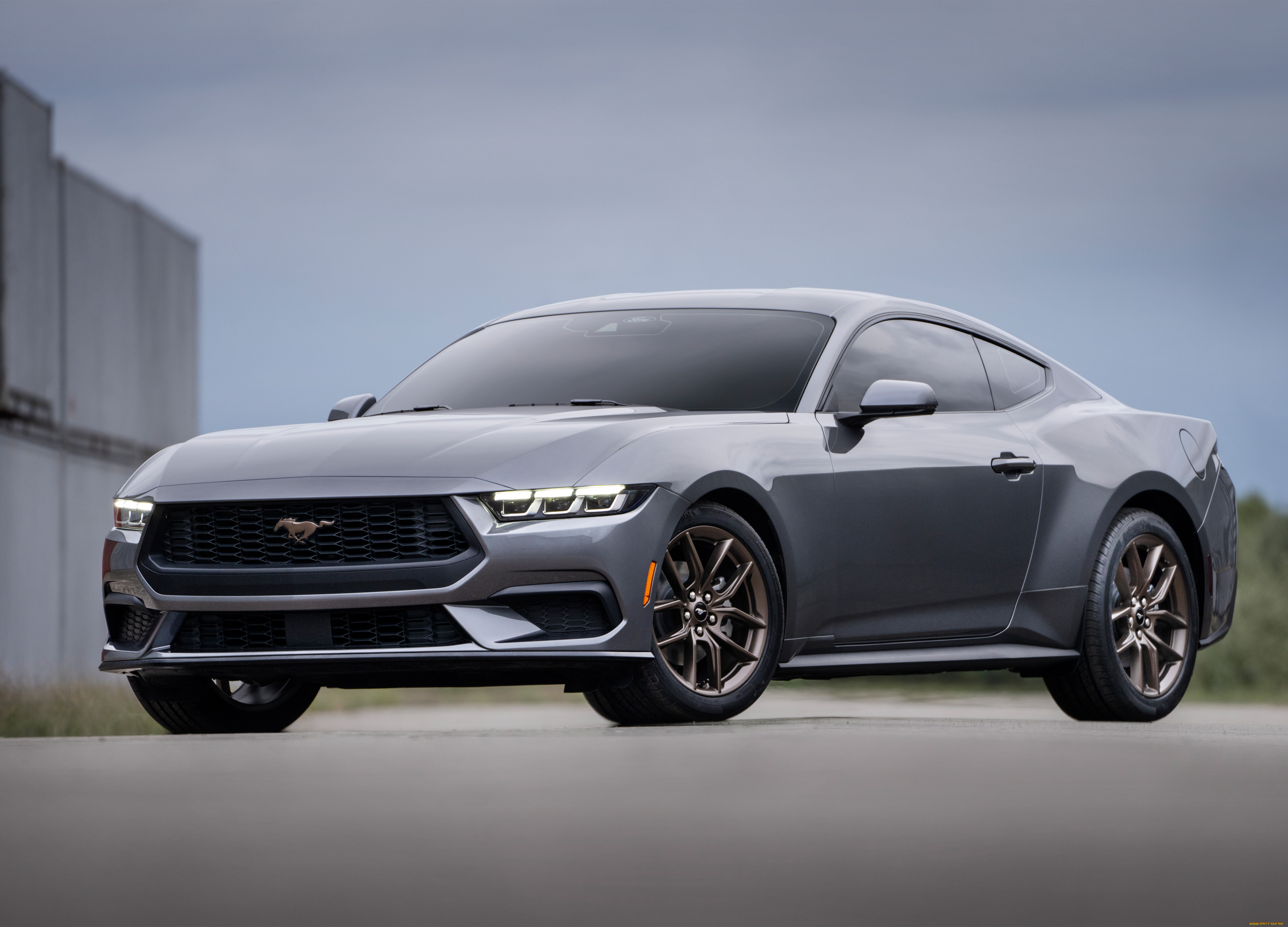 автомобили, mustang