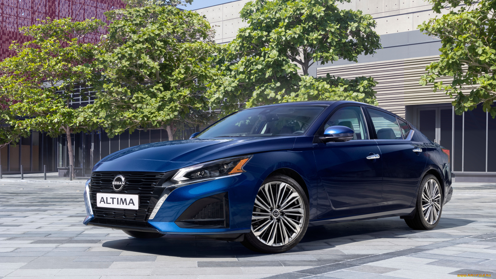 автомобили, nissan, datsun