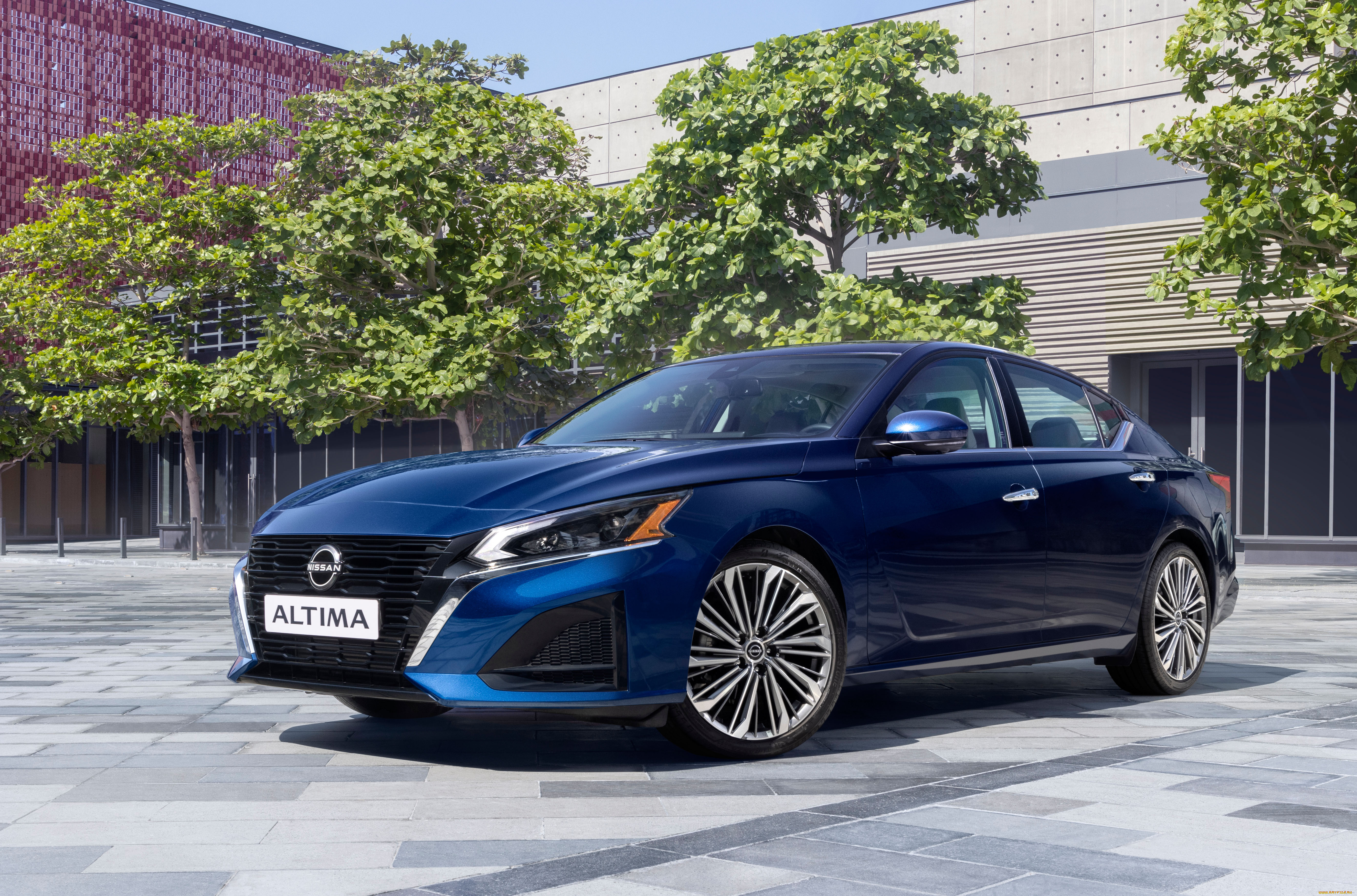 автомобили, nissan, datsun