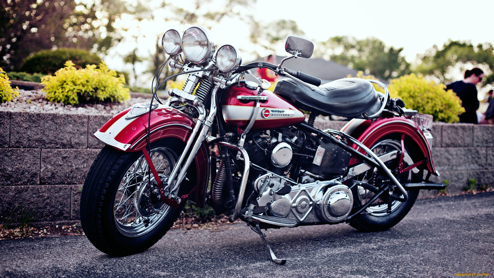 harley, мотоциклы, harley-davidson, мотоцикл, байк