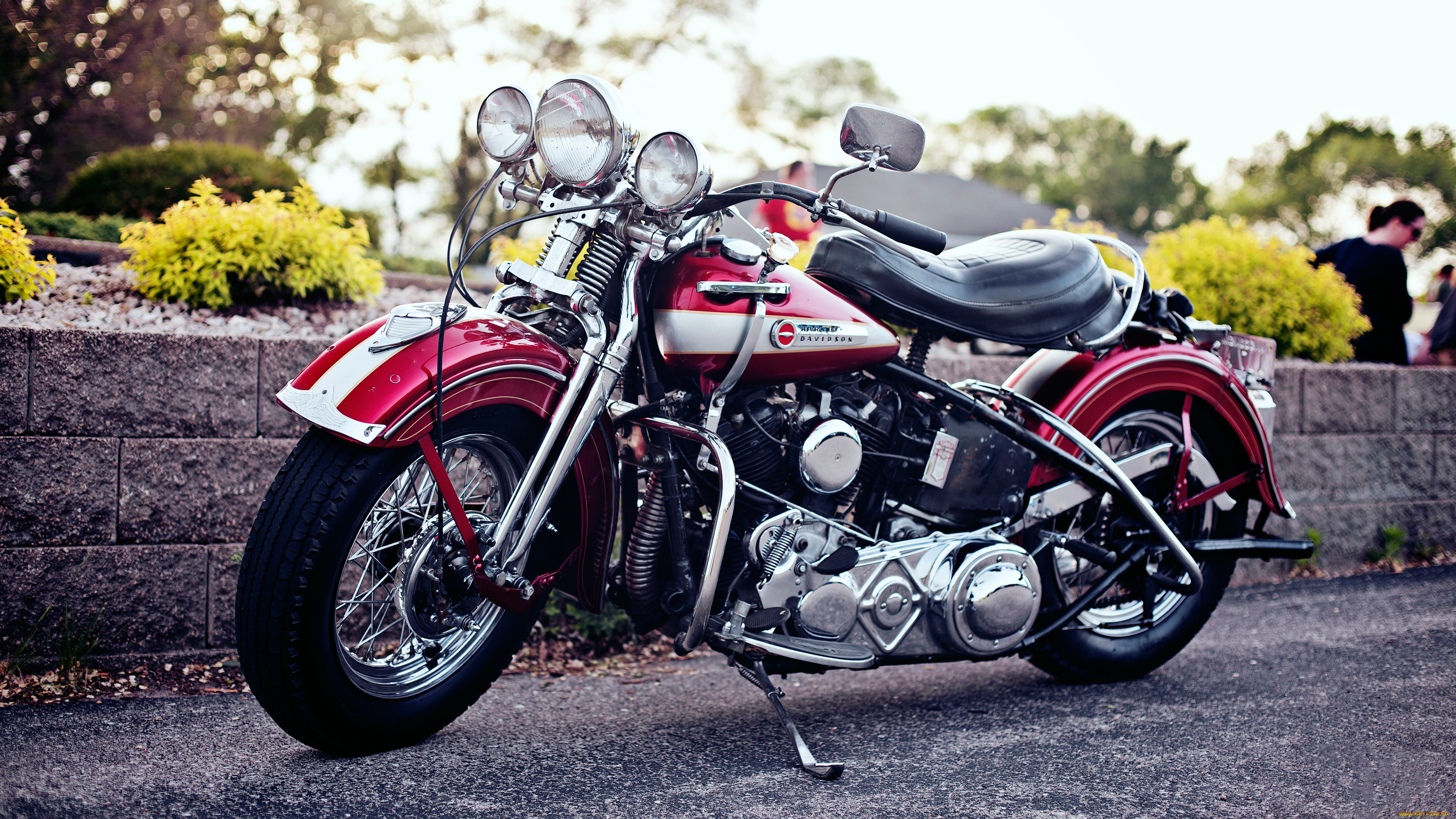 harley, мотоциклы, harley-davidson, мотоцикл, байк