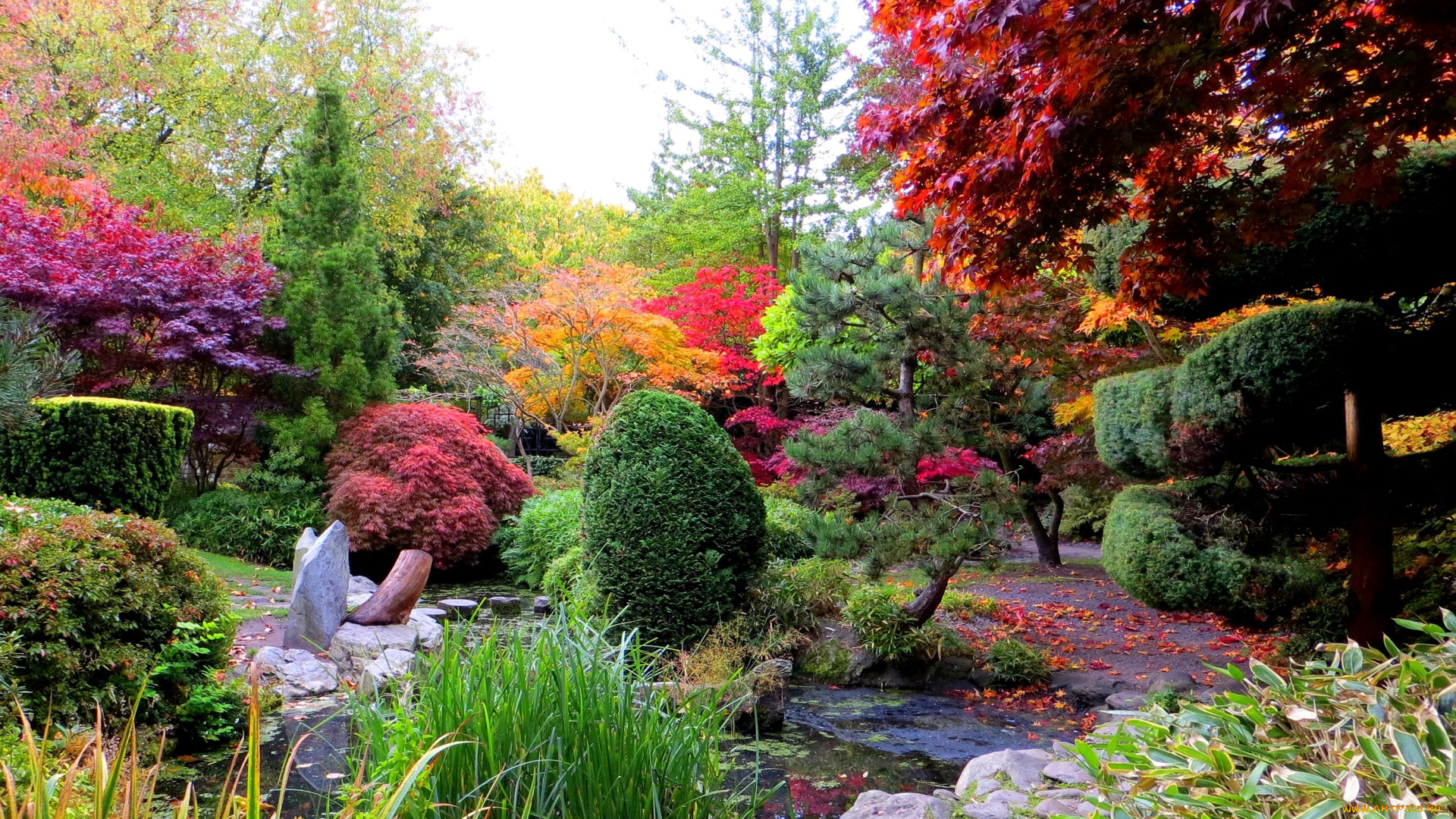 природа, парк, сад, растения, осень, листья, дорожки