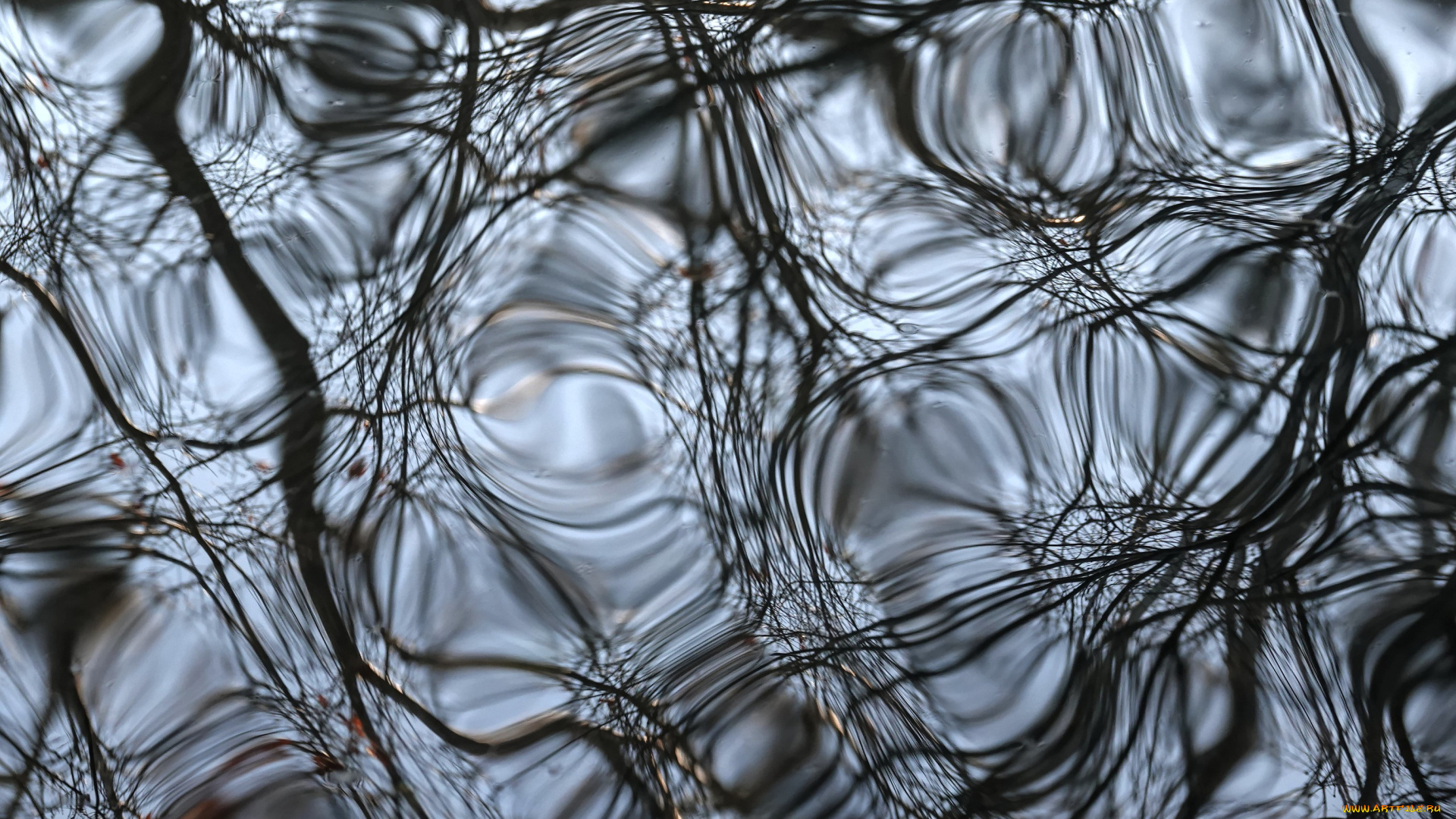 природа, вода