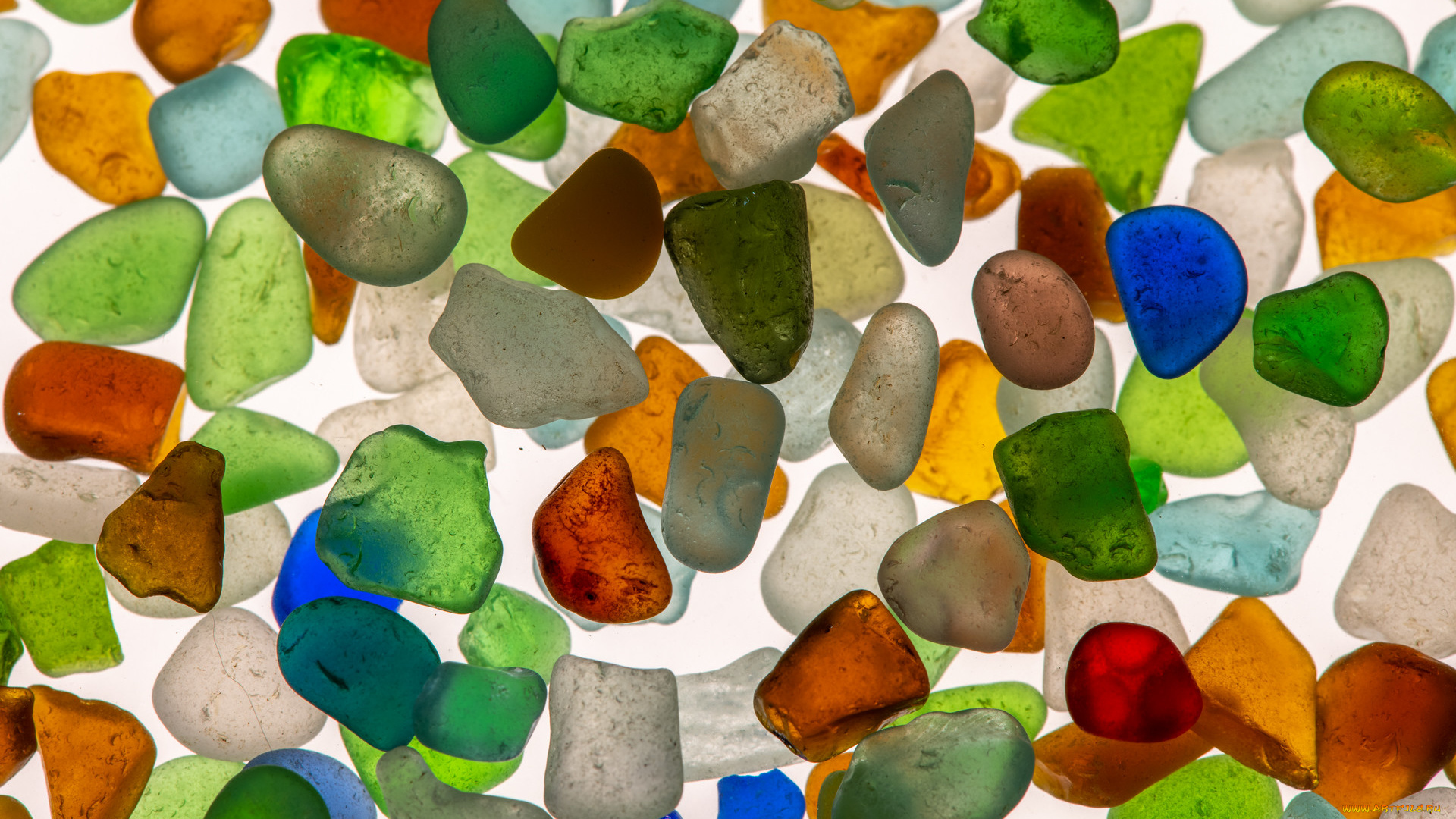 разное, ракушки, , кораллы, , декоративные, и, spa-камни, камни