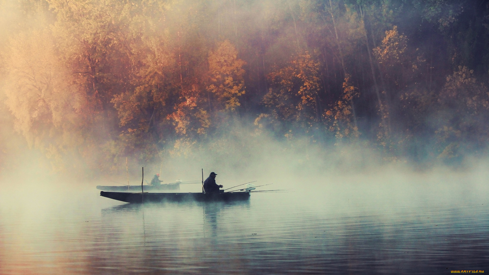 спорт, -, другое, туман