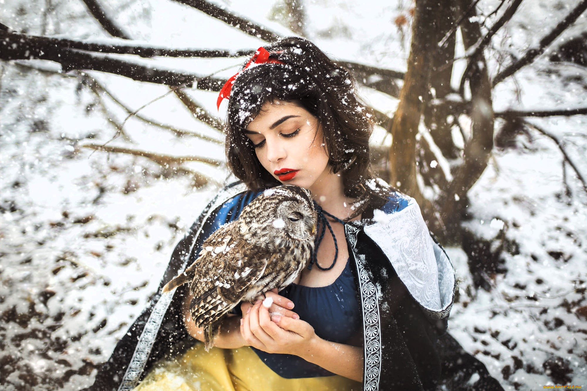 девушки, -, креатив, , косплей, образ, косплей, наряд, костюм, сова, плащ, снег, зима, белоснежка