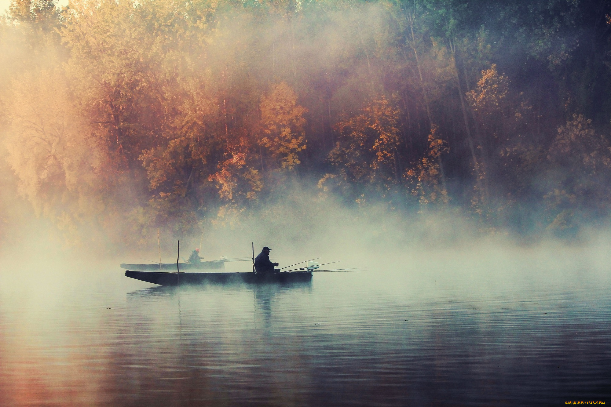 спорт, -, другое, туман