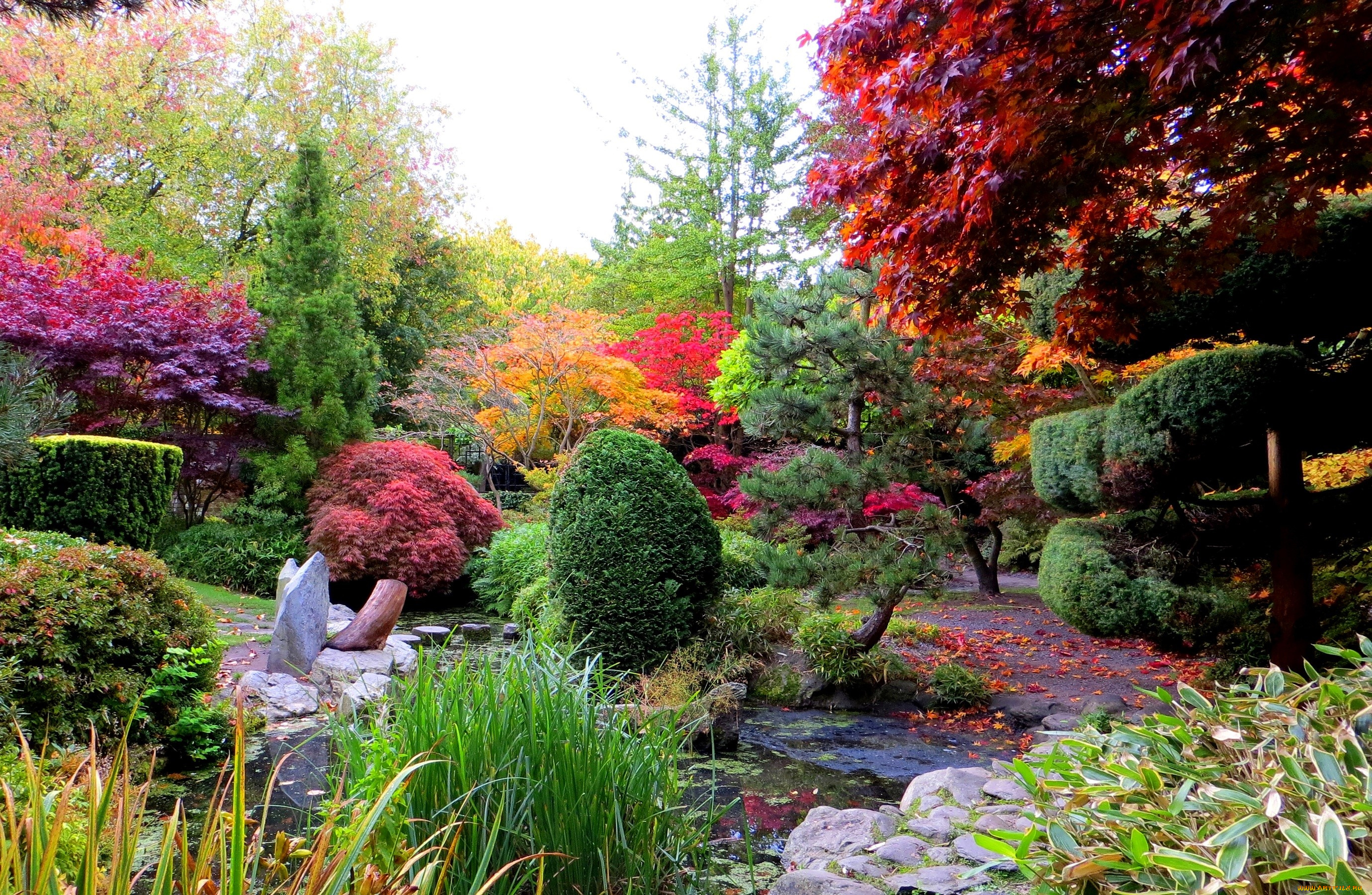 природа, парк, сад, растения, осень, листья, дорожки