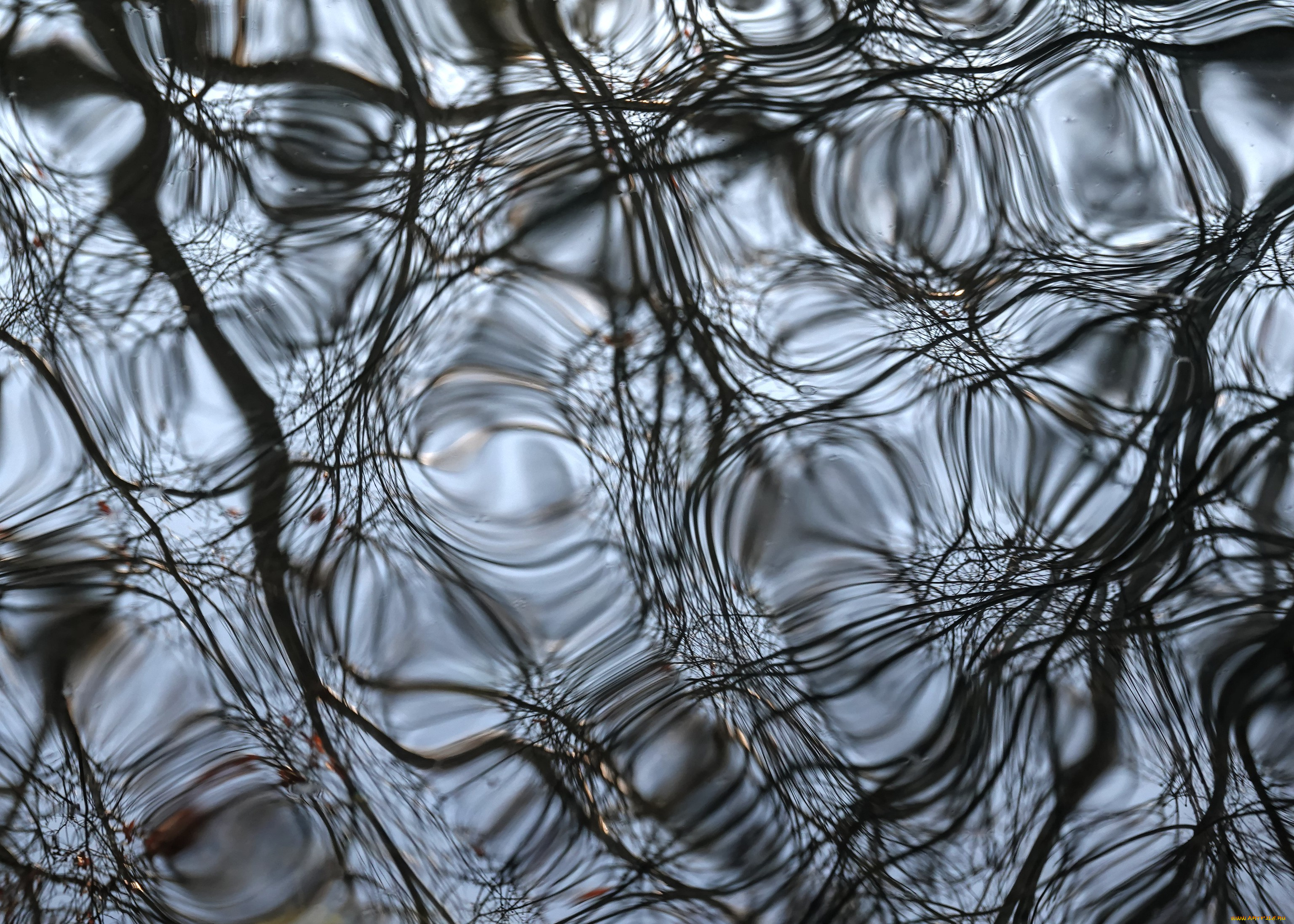 природа, вода