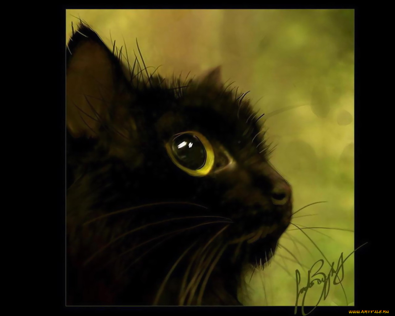 рисованные, животные, коты