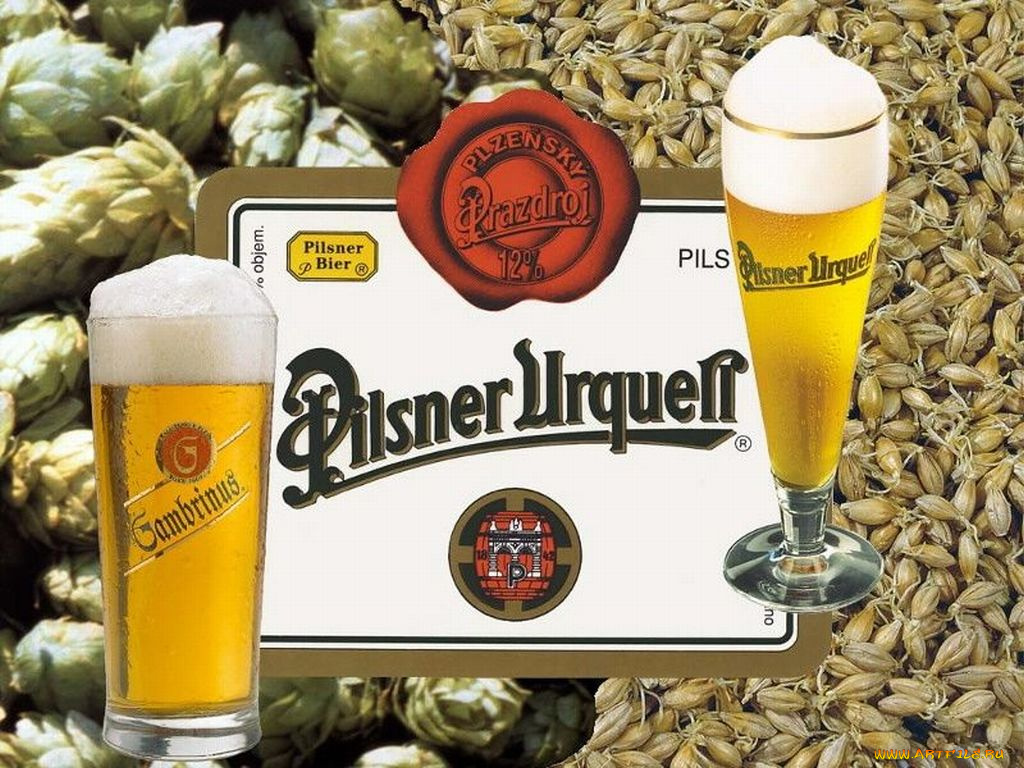 gambrinus, бренды