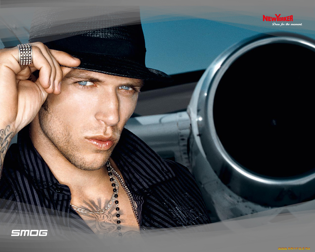 new, yorker, бренды