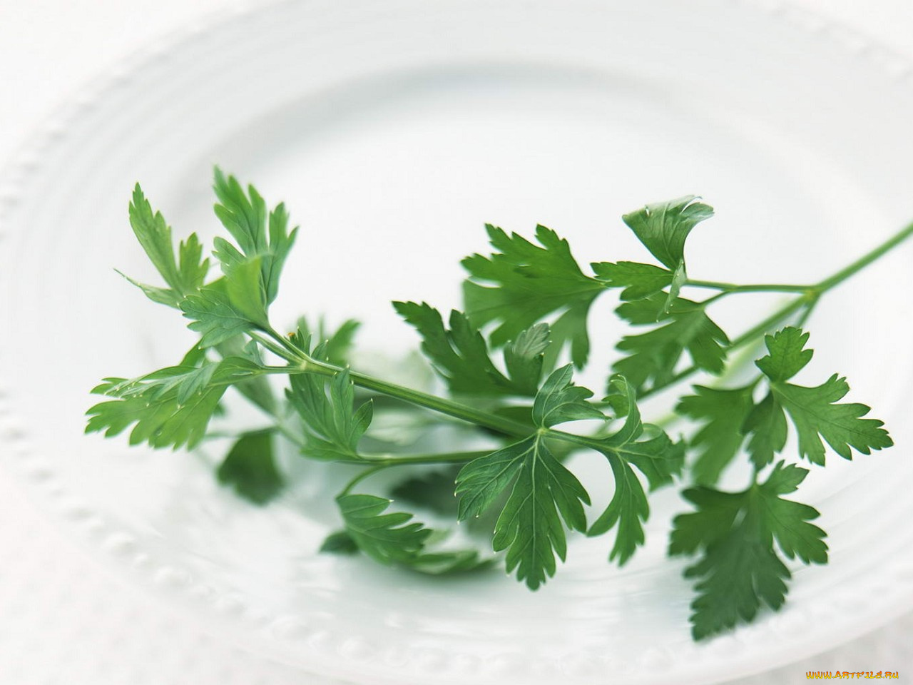 еда, разное