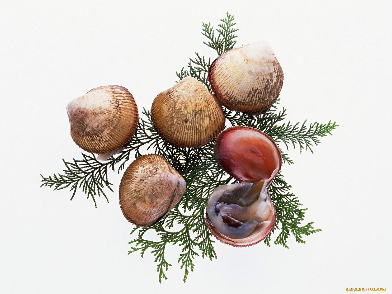 еда, рыба, морепродукты, суши, роллы