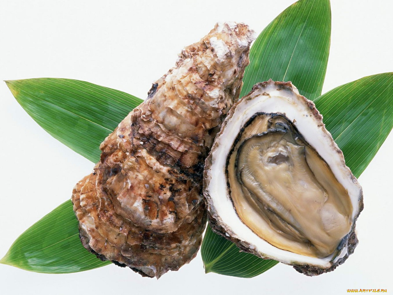 еда, рыба, морепродукты, суши, роллы