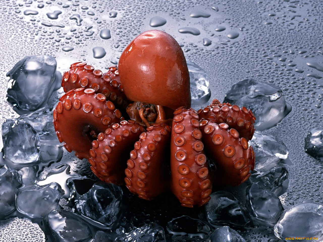 еда, рыба, морепродукты, суши, роллы