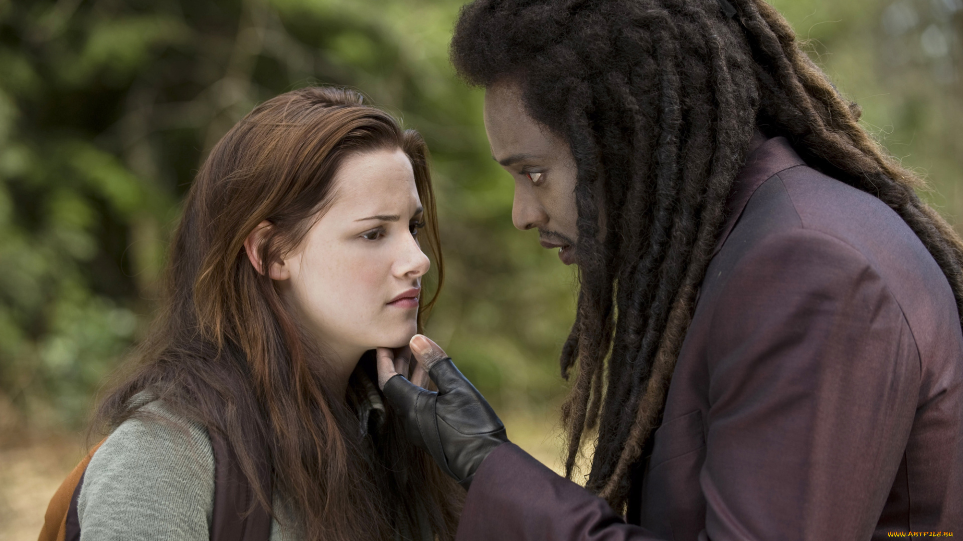 new, moon, twilight, кино, фильмы, the, saga