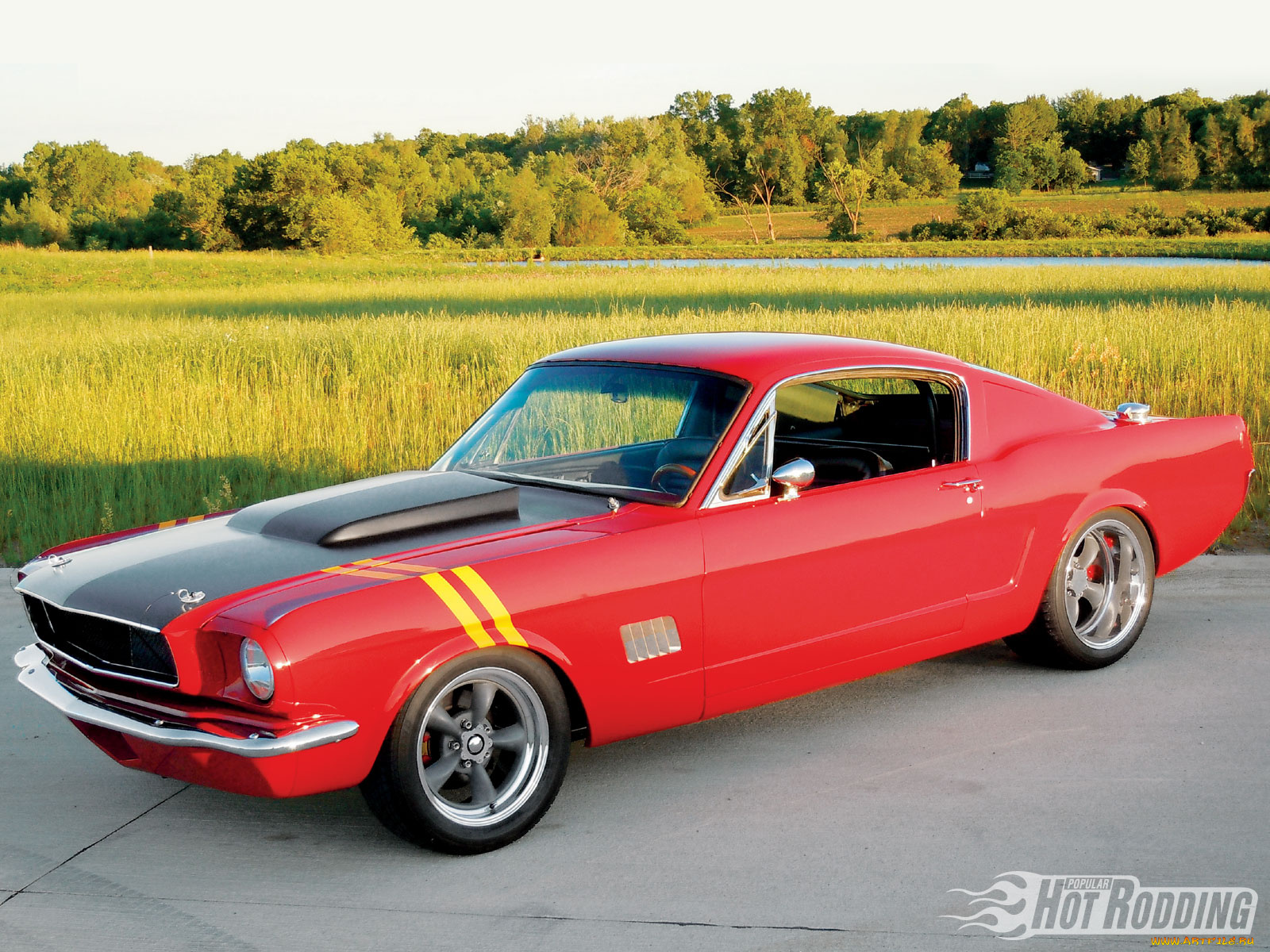 1965, ford, mustang, fastback, автомобили