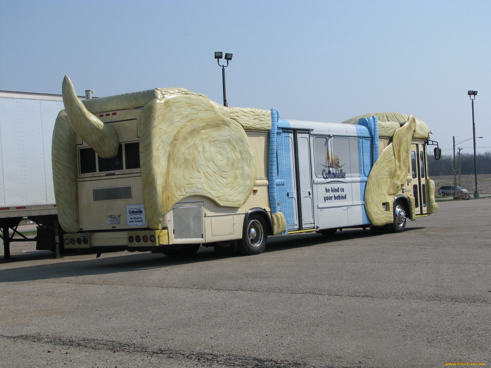 автомобили, автобусы