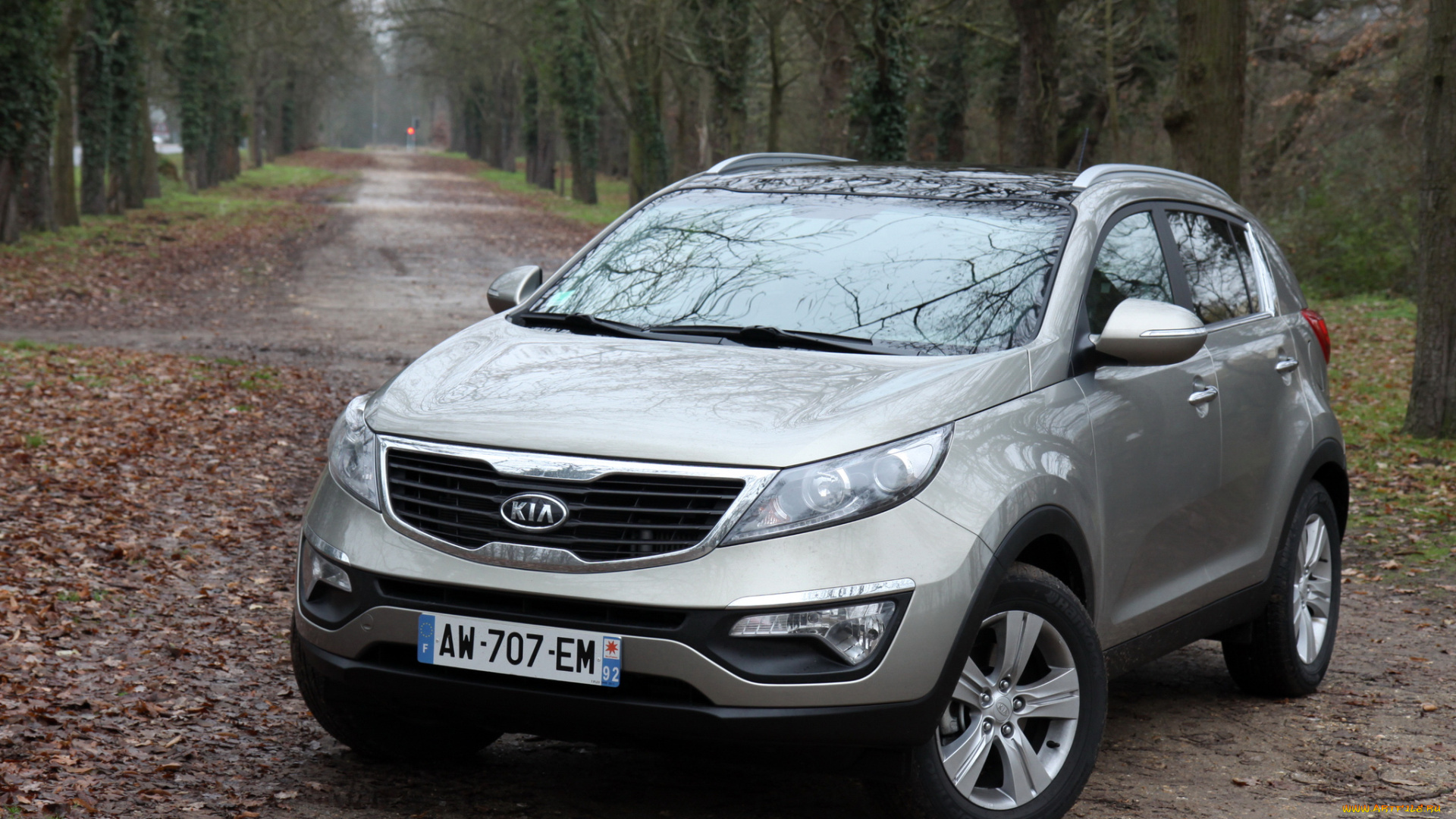 автомобили, kia, sportage