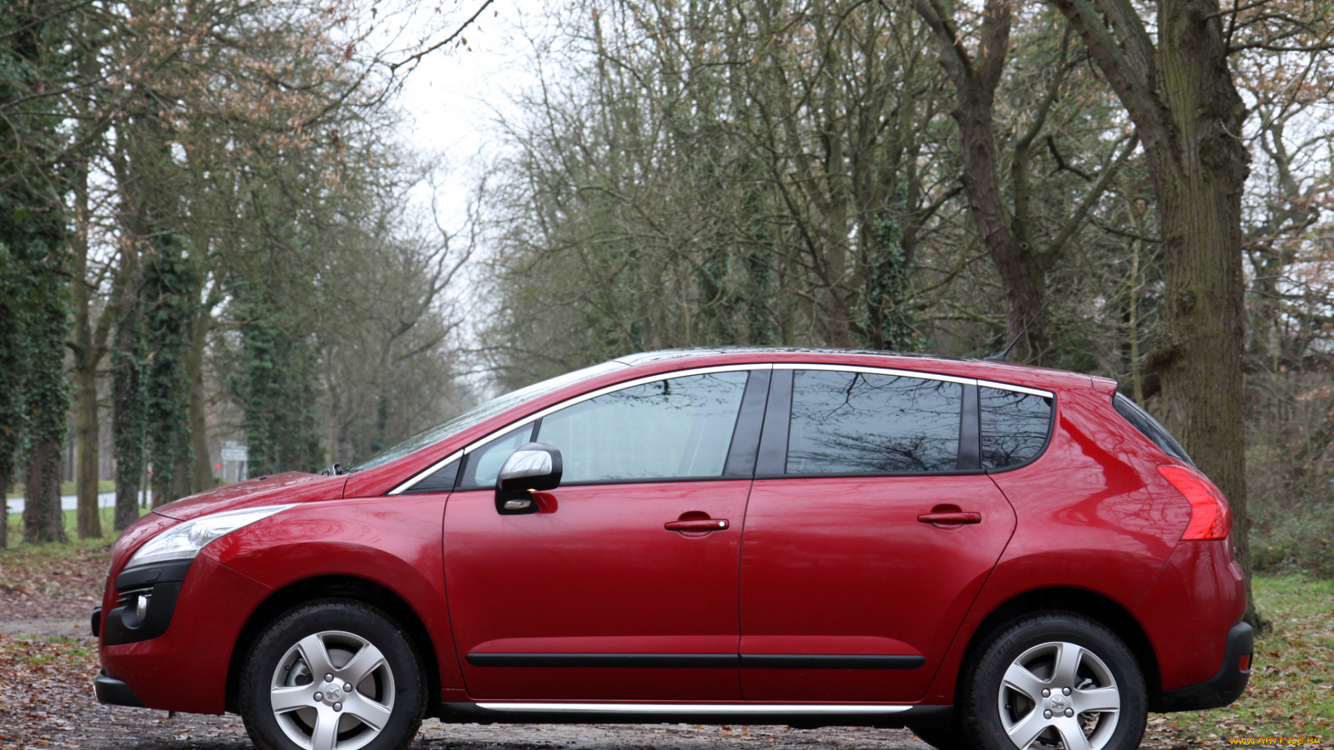 автомобили, peugeot, 3008