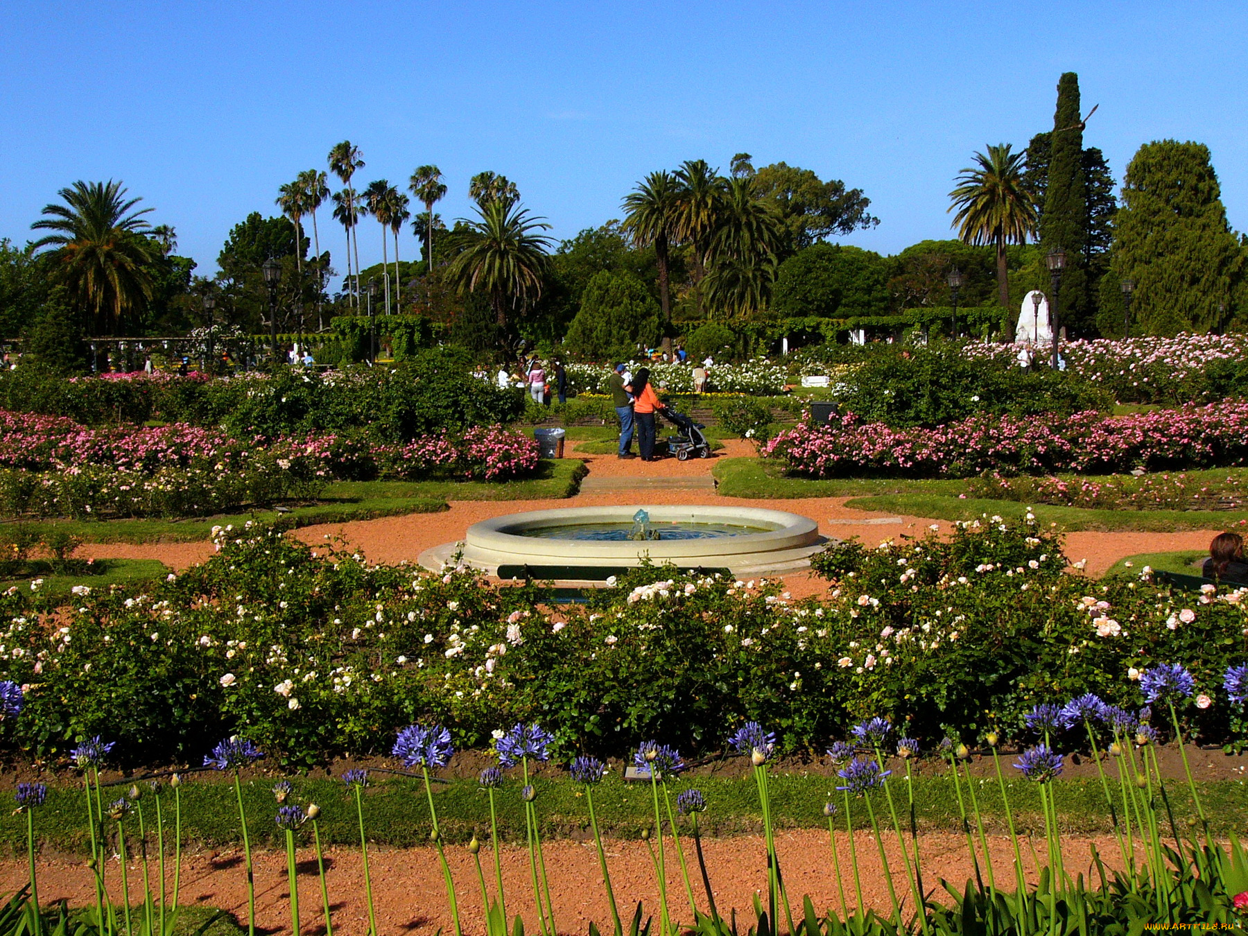 природа, парк, деревья, клумбы, фонтан, цветы