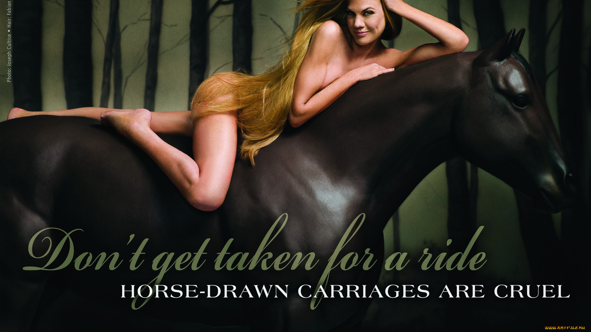 бренды, peta, people, for, the, ethical, treatment, of, animals, девушка, лошадь, волосы