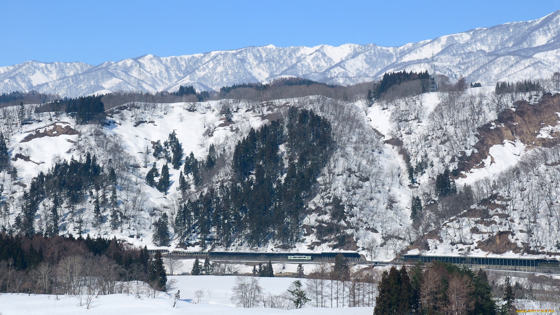 природа, горы, деревья