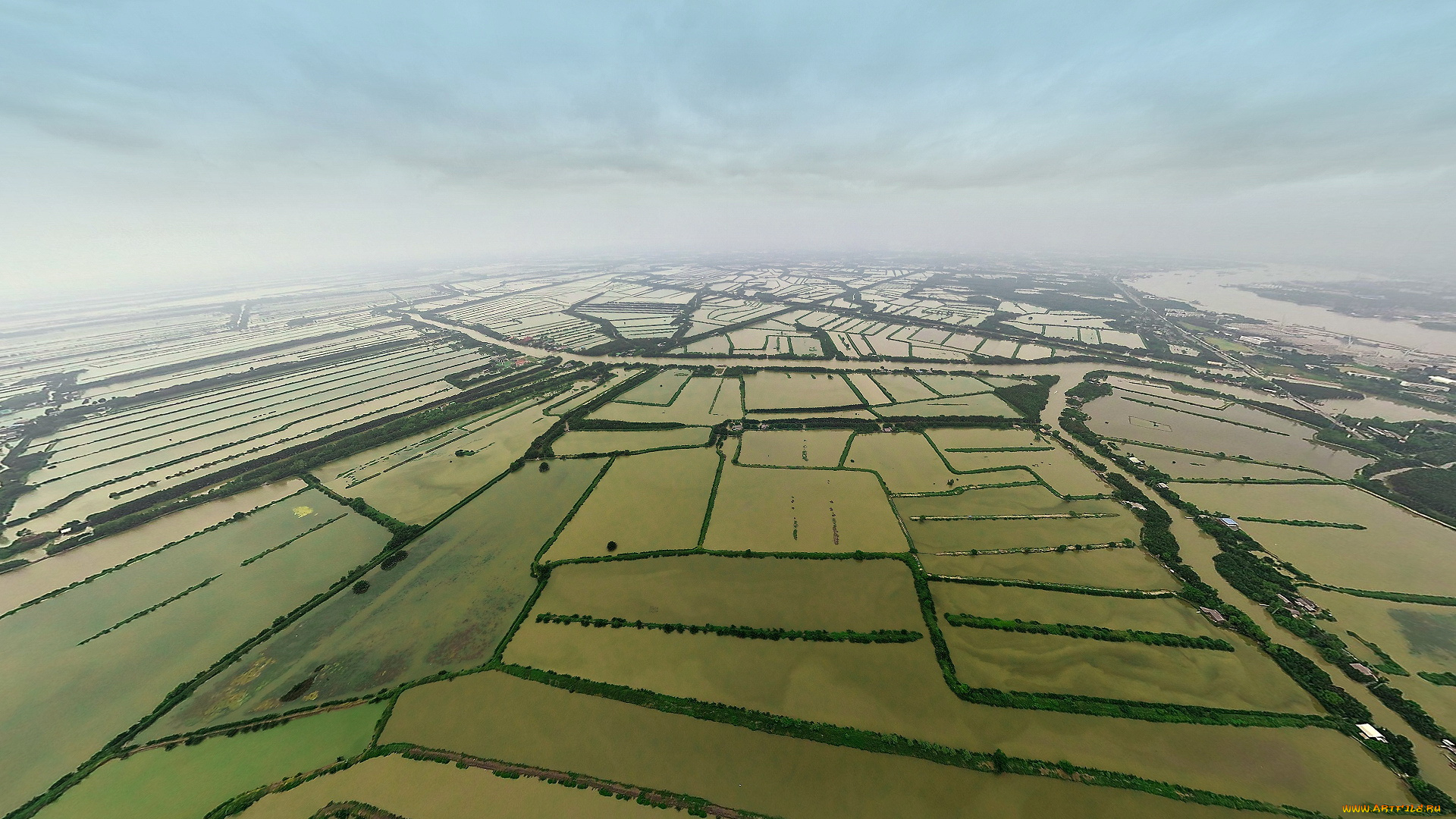 природа, поля