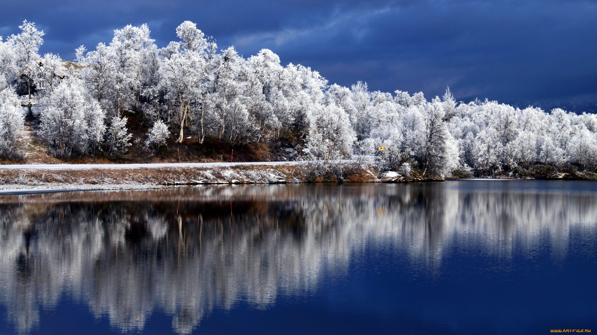 природа, реки, озера, деревья, река