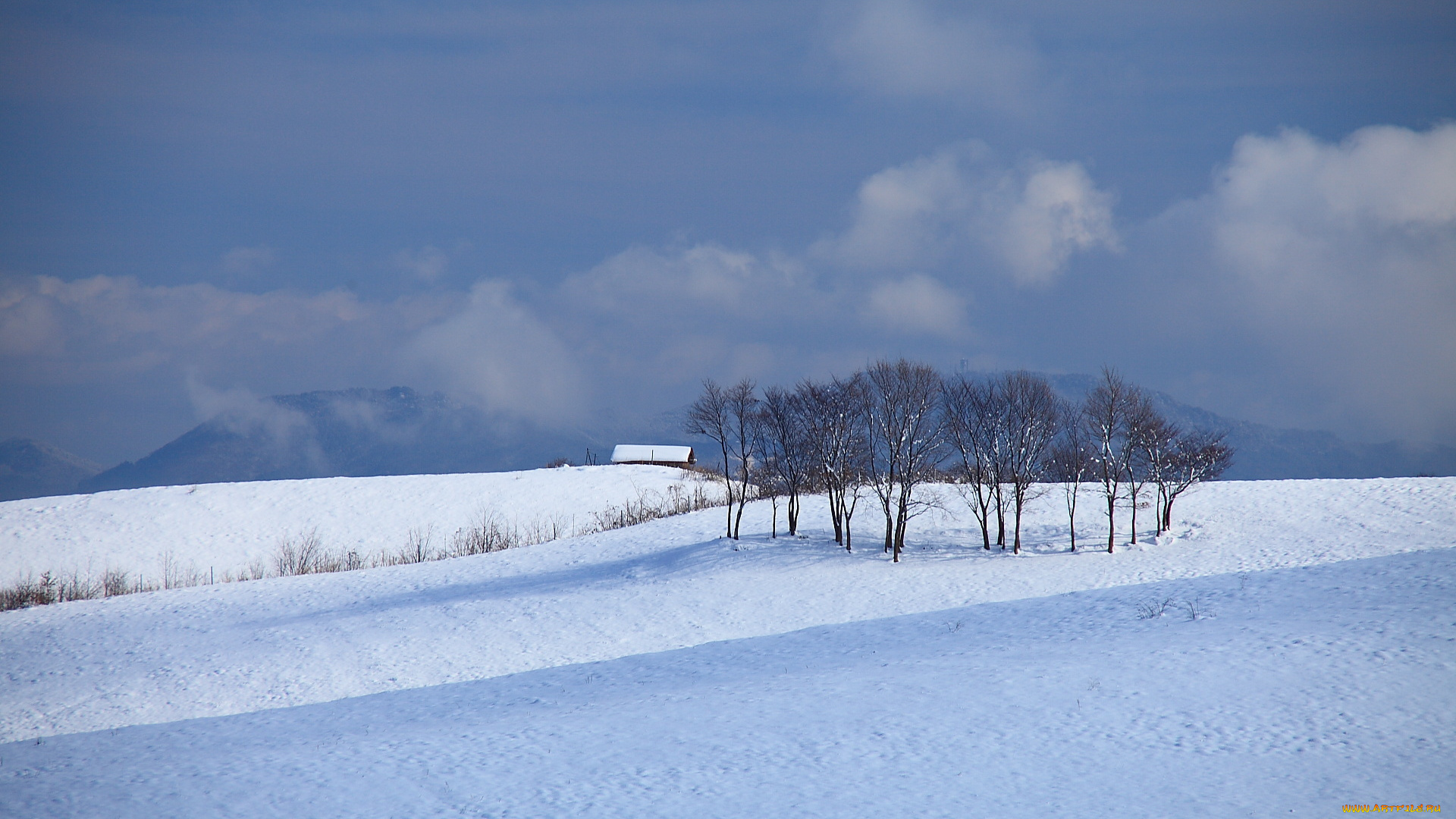 природа, зима, снег, деревья