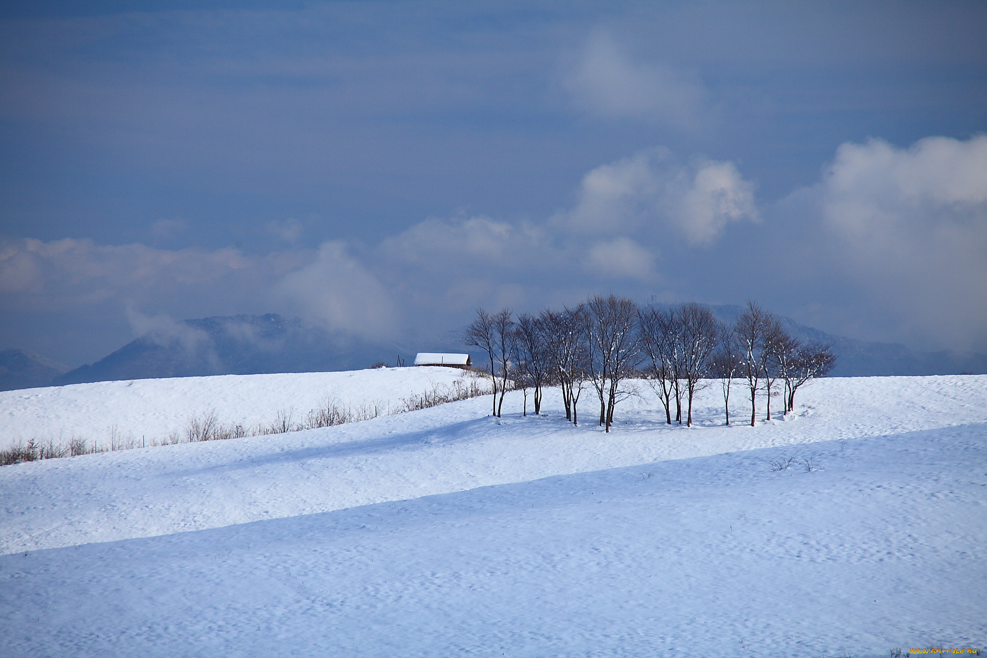 природа, зима, снег, деревья