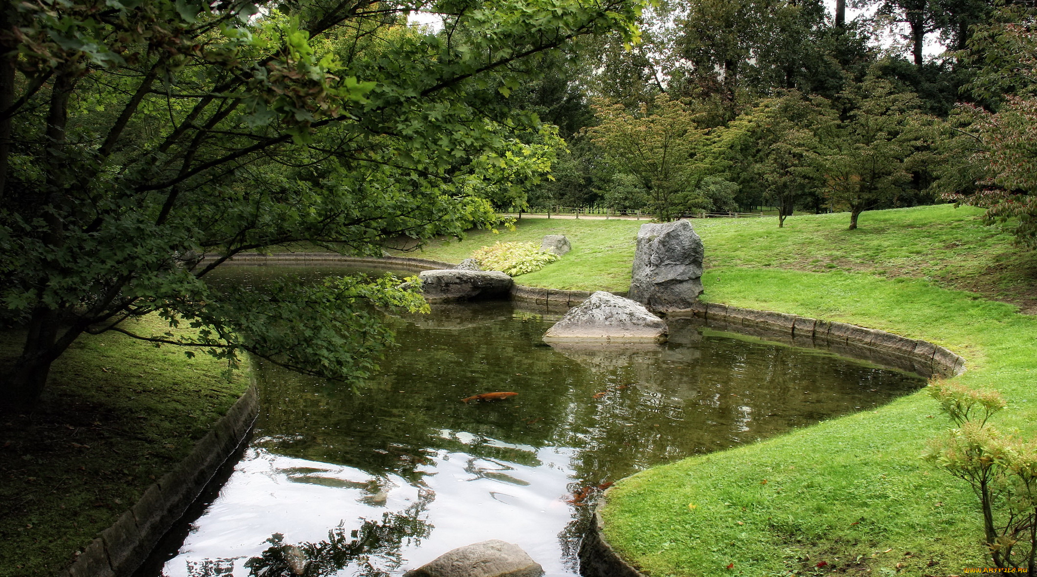 природа, парк, водоем, деревья