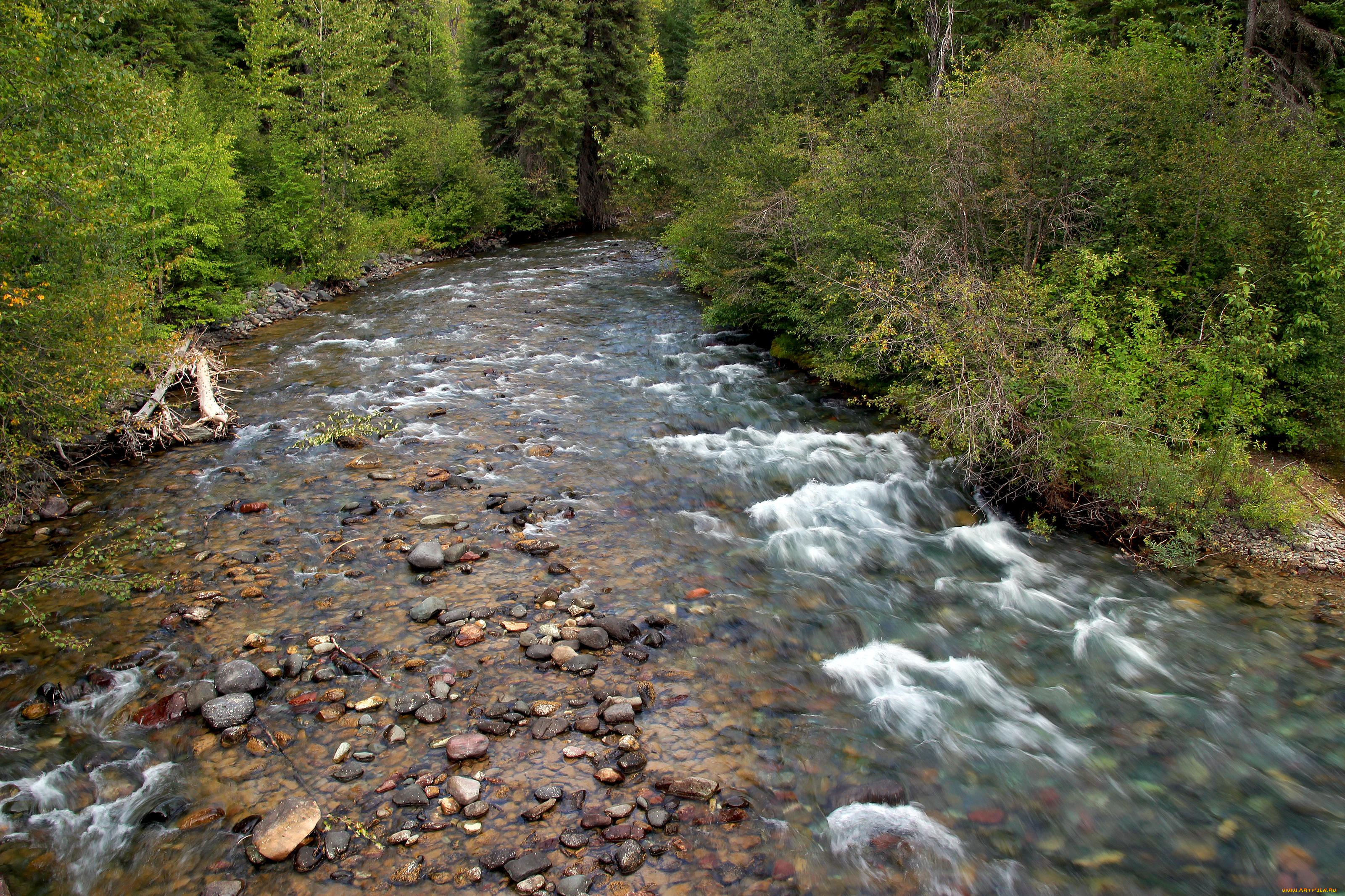 природа, реки, озера, камни, река, лес