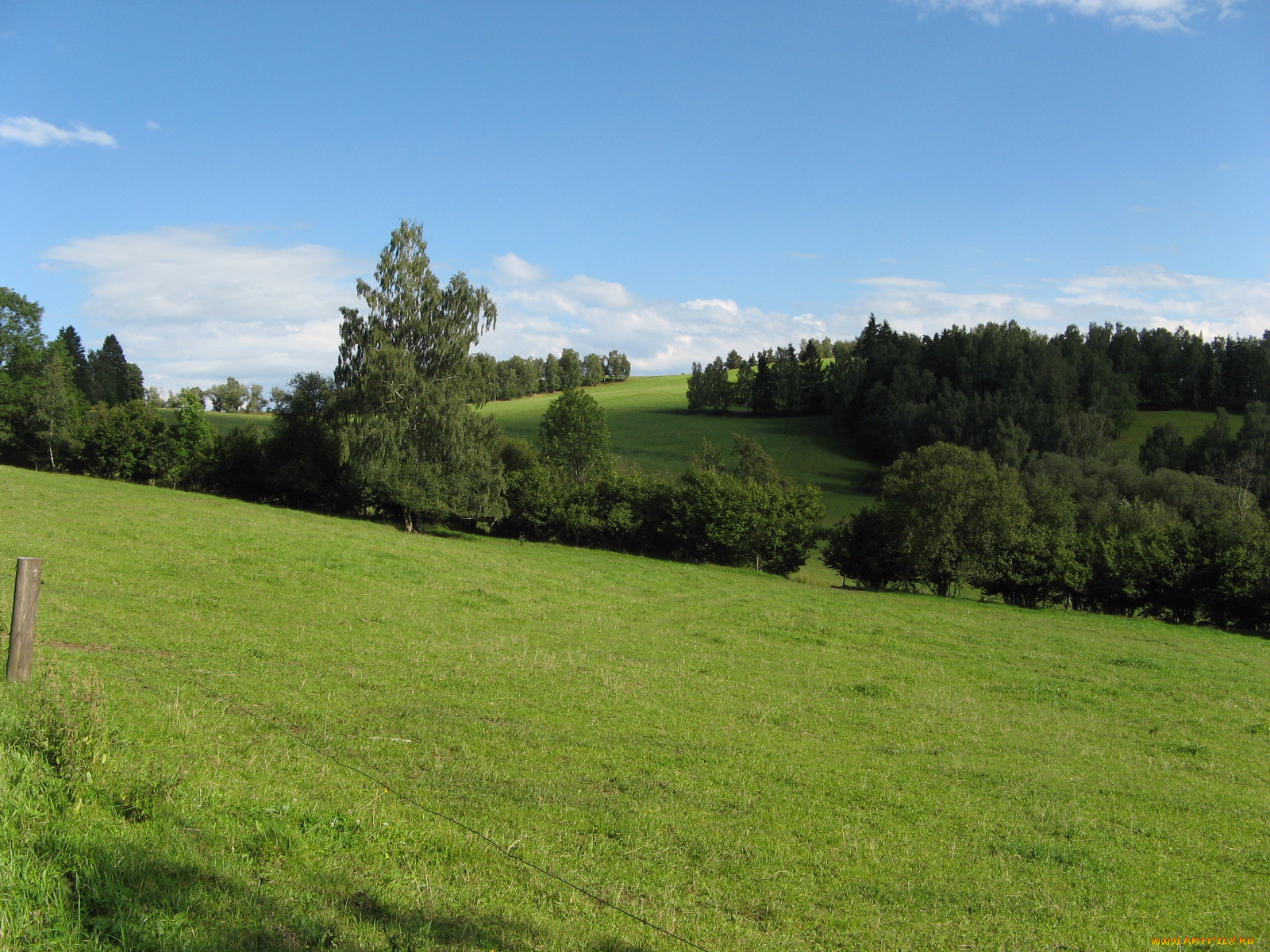 природа, луга, луг, трава, деревья