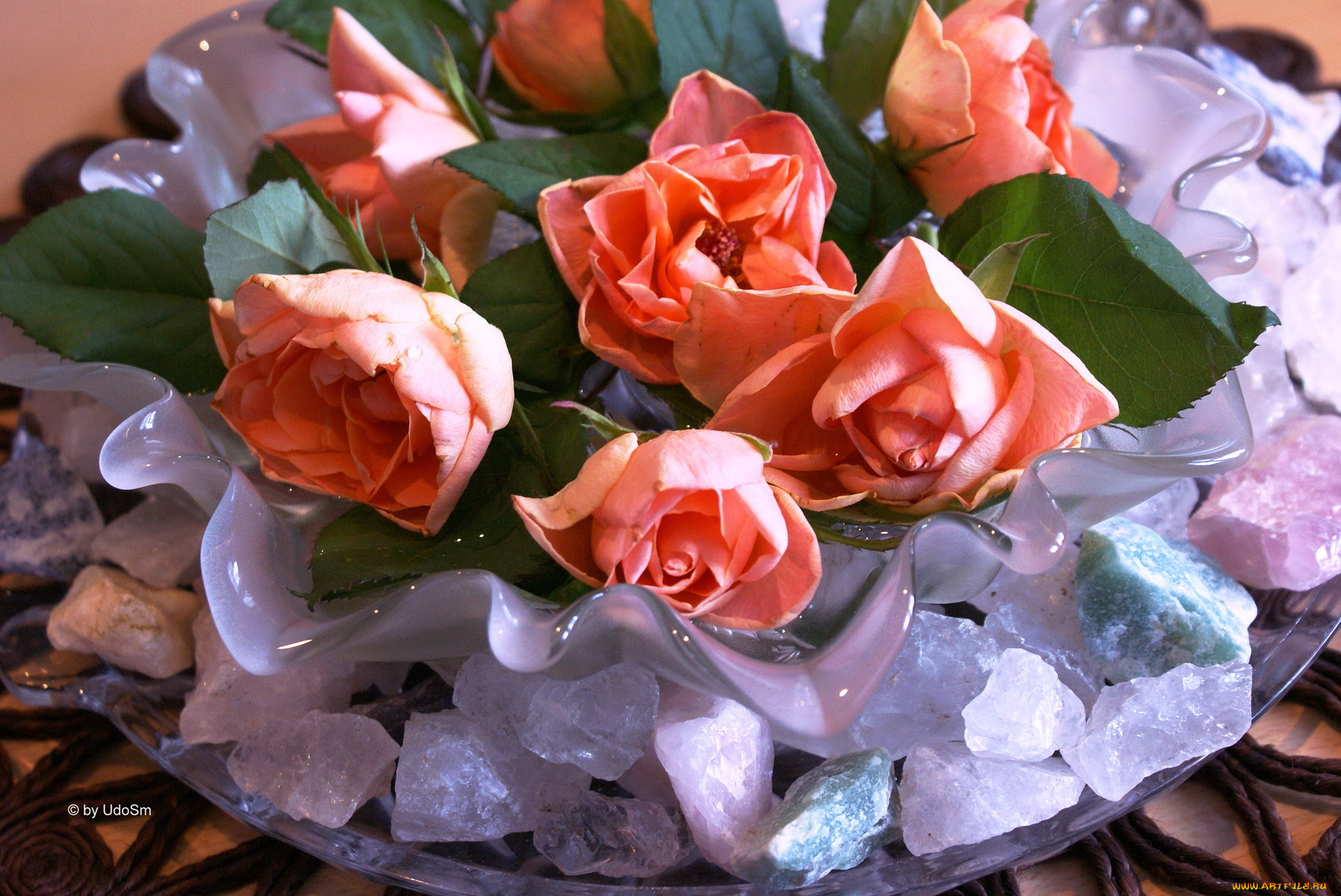 цветы, розы