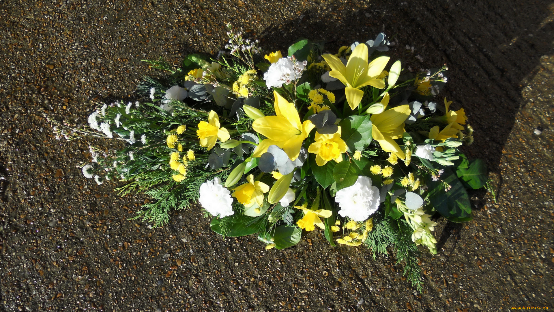 цветы, букеты, композиции, букет, лилии, гвоздики