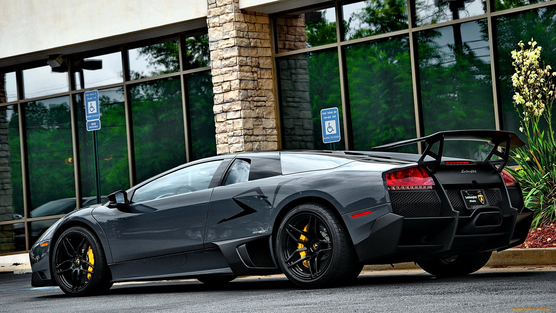 lamborghini, murcielago, автомобили