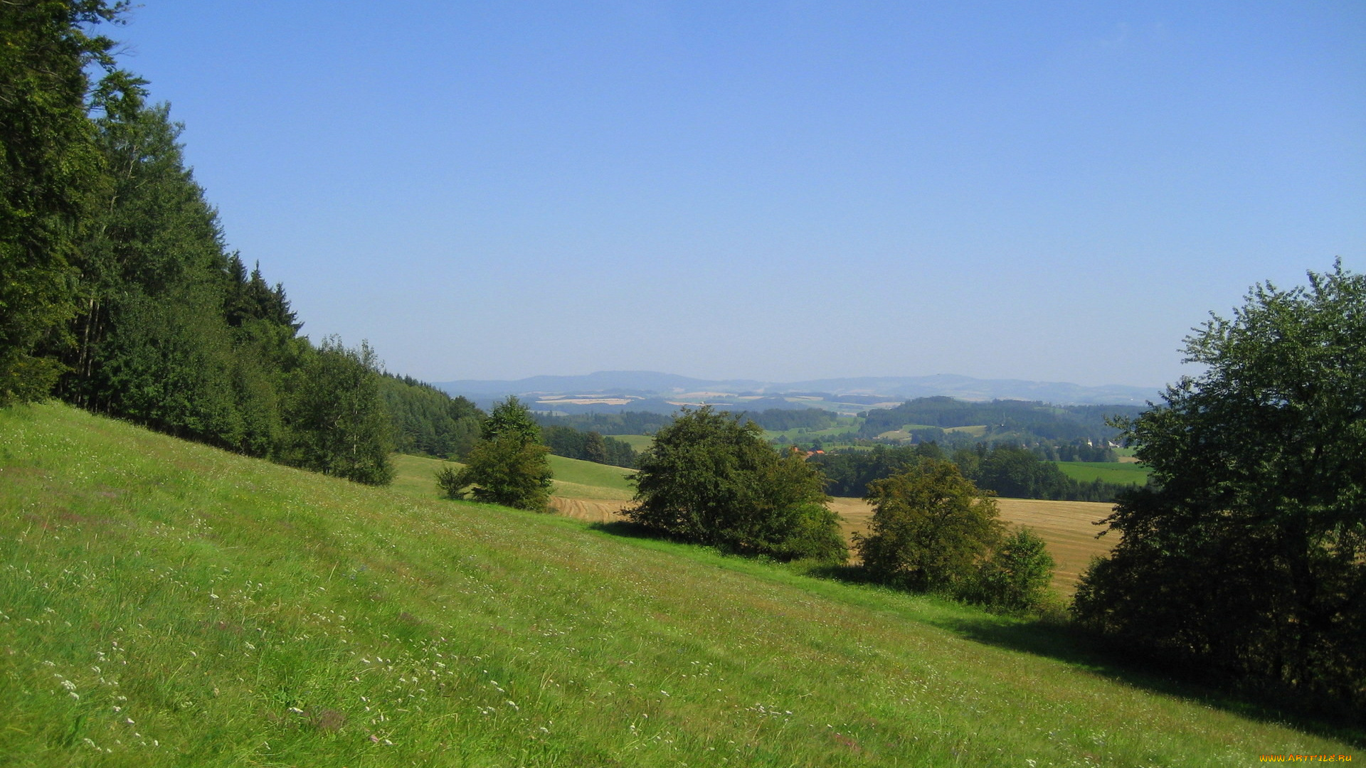 природа, луга, холм, луг, деревья